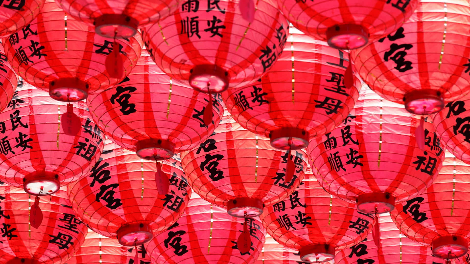  壁紙 — 鮮豔的紅色紙燈籠帶有黑色中文字，密密麻麻地掛在頭頂，形成一個節日發光的頂篷。