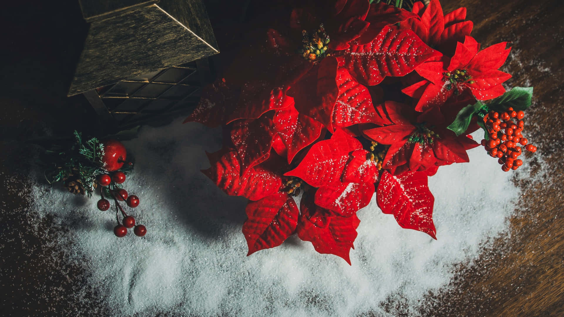  壁紙 — 鮮豔的紅色聖誕紅撒上閃粉，放在雪白的粉末上，旁邊有節日紅莓和質樸的燈籠。