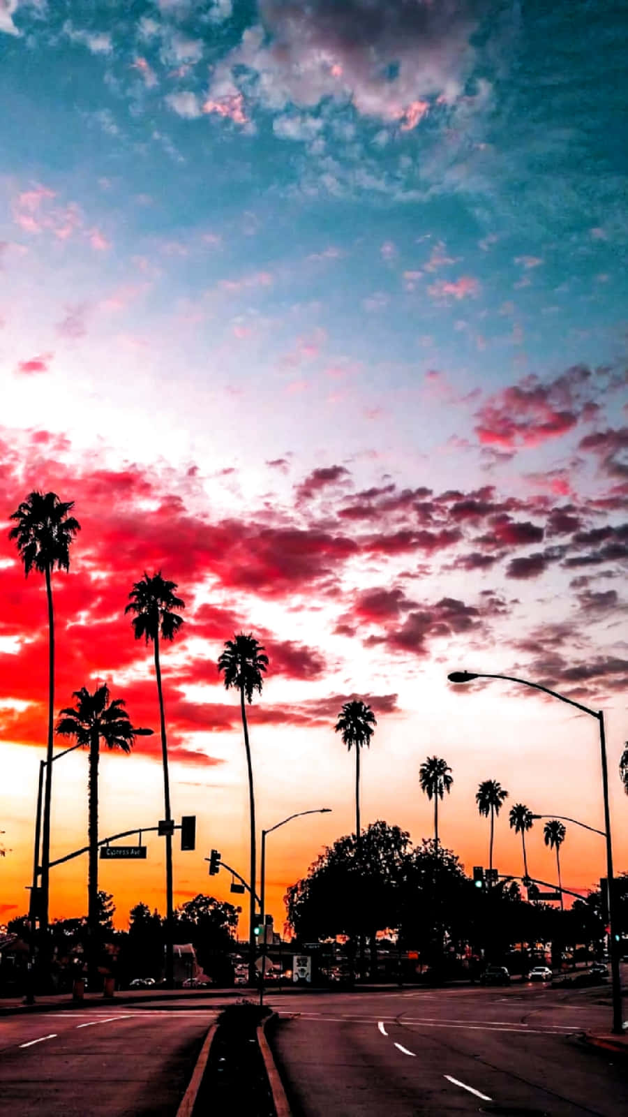 Sunset Photography 桌布 壁紙 — 充滿活力的日落以火紅和橙色渲染天空，映襯著寧靜城市街道兩旁的棕櫚樹剪影。