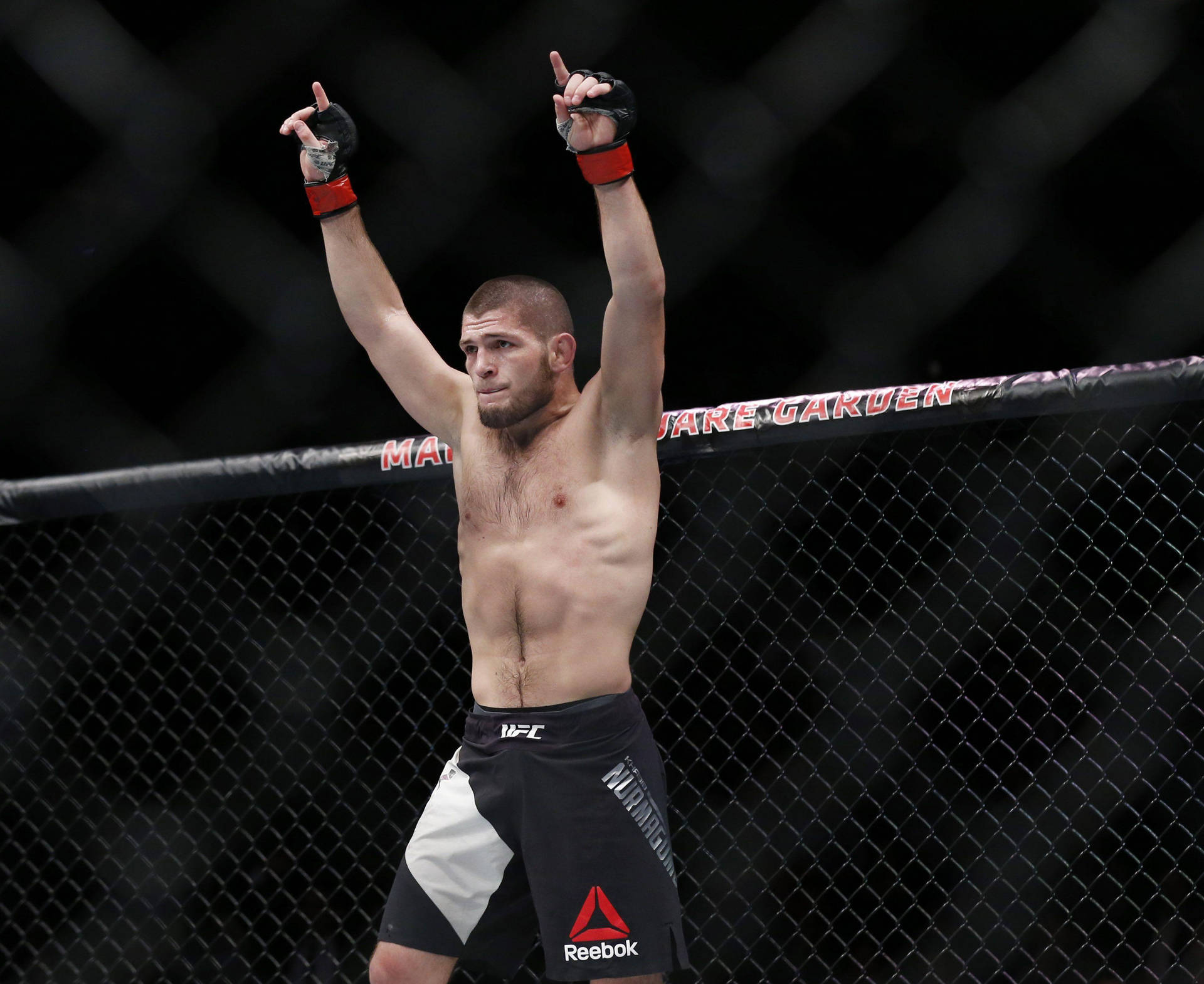 MMA拳手在八角籠中高舉雙臂慶祝勝利。