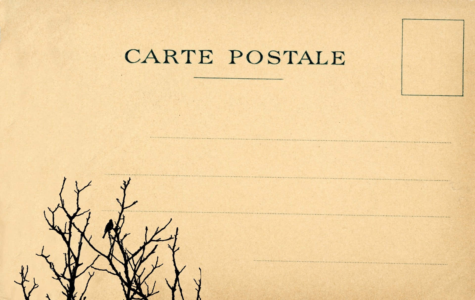  壁紙 — 復古米色明信片，帶有'CARTE POSTALE'文字和左下角的禿樹剪影。