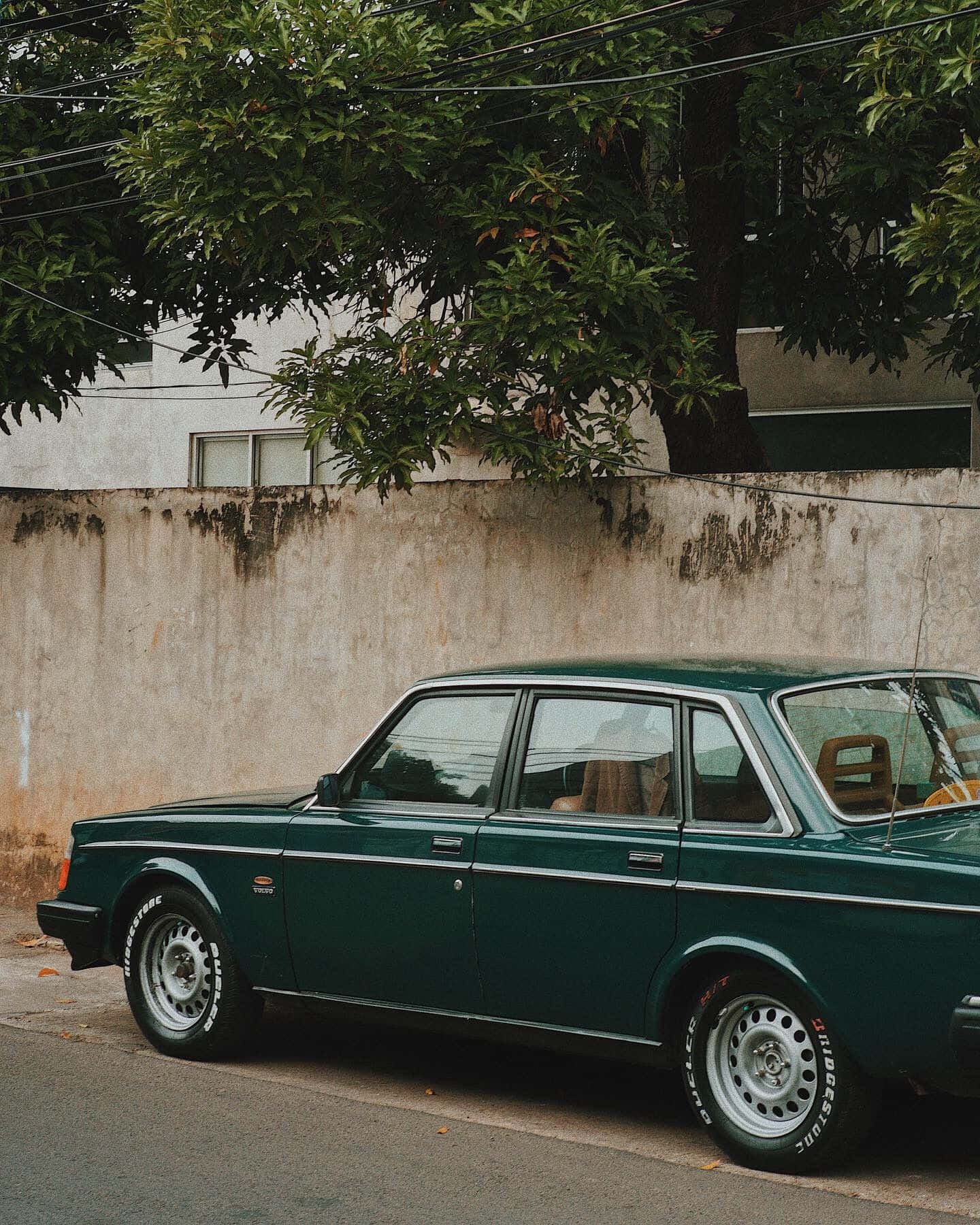 Volvo Pv544 桌布 壁紙 — 一輛復古綠色轎車停泊在寧靜城市小巷中，旁邊是風化牆壁，上方有茂密樹木。