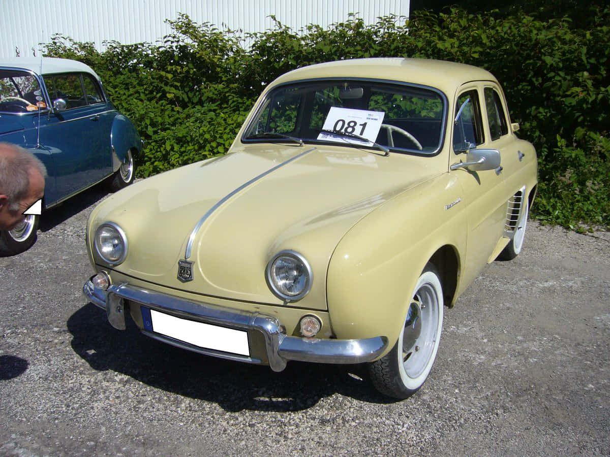 Renault Dauphine 桌布 壁紙 — 一輛復古淡黃色雷諾Dauphine，配備白色側壁輪胎，停泊在碎石上，旁邊有綠色灌木叢，在明亮的陽光下。