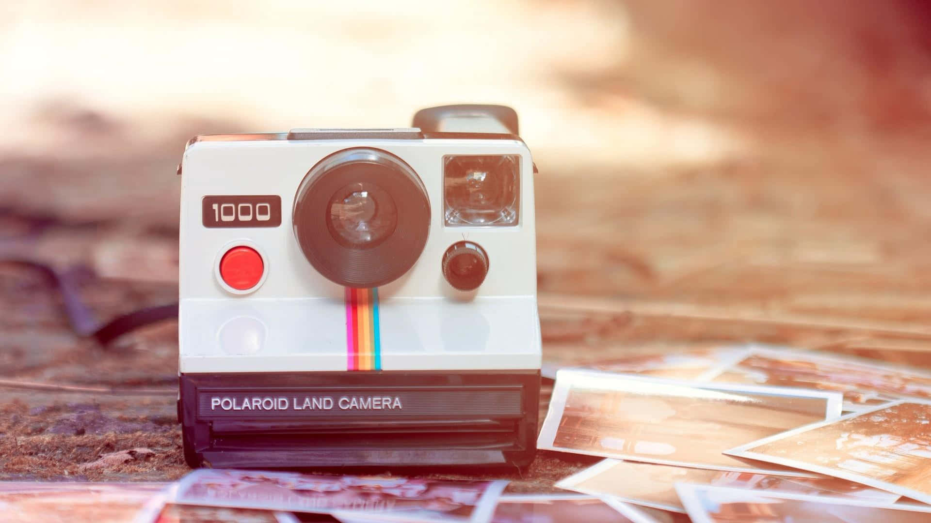 木頭上被即時照片包圍的Polaroid Land Camera 1000。 — 寶麗來 GIF 壁紙