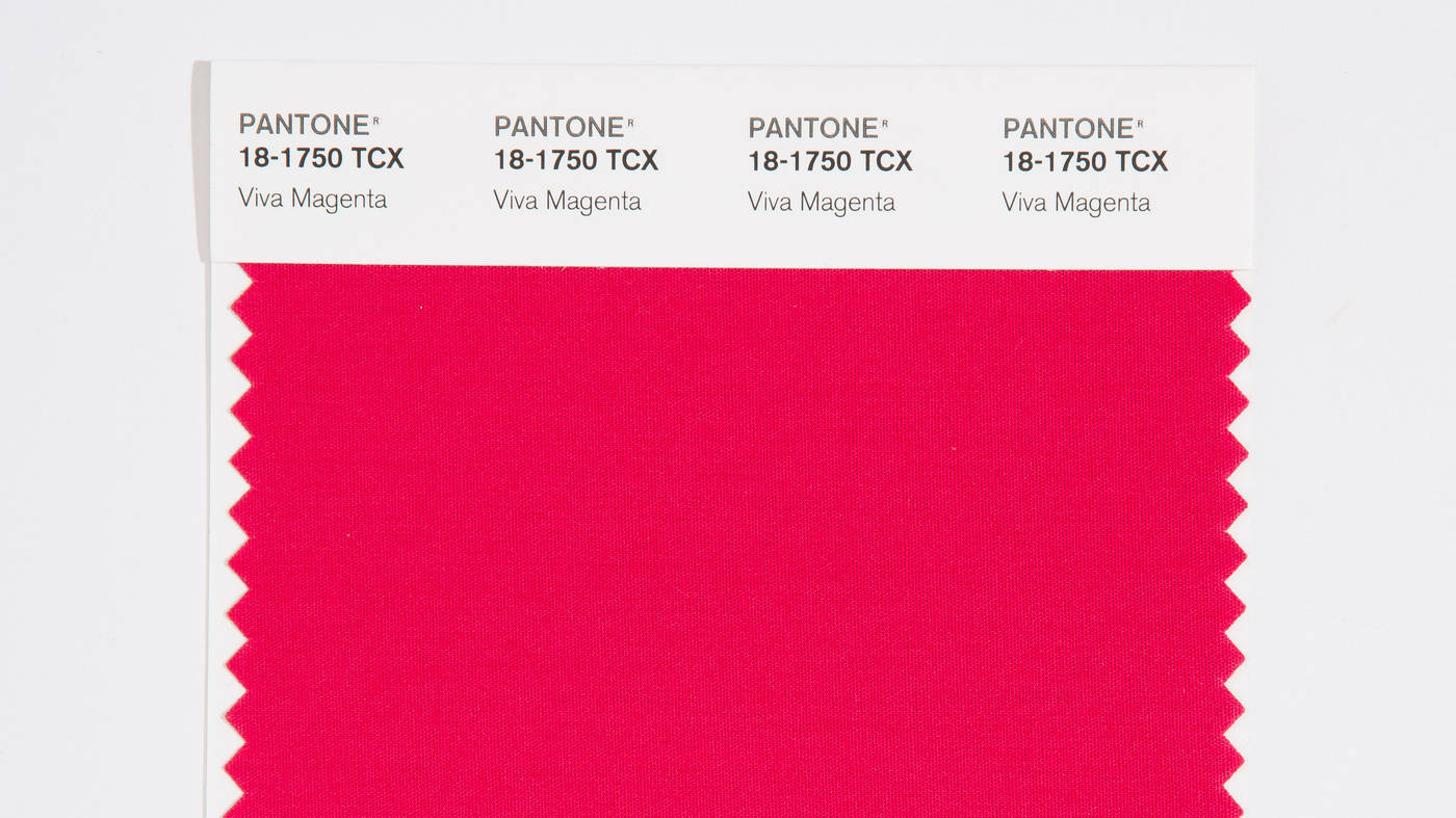 潘通Viva洋紅色色卡 壁紙 — 充滿活力的 Pantone Viva Magenta 布料樣本，帶有清晰的白色標籤，背景為純白色。