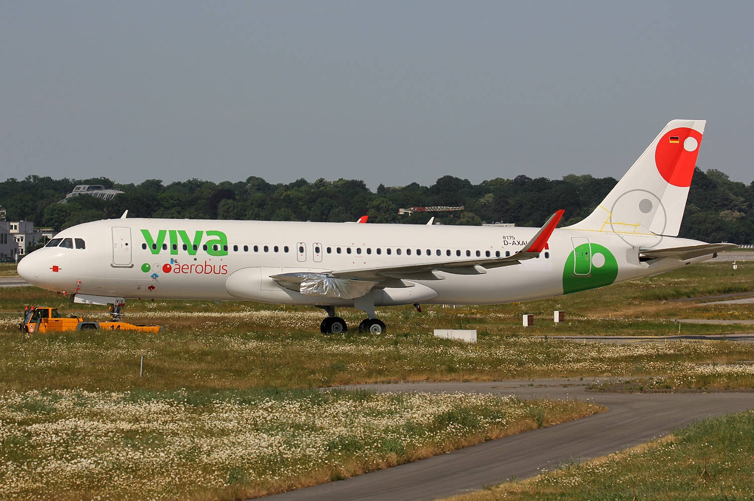 Viva Aerobus飛機停放在草地機場停機坪上，背景有野花和樹木。