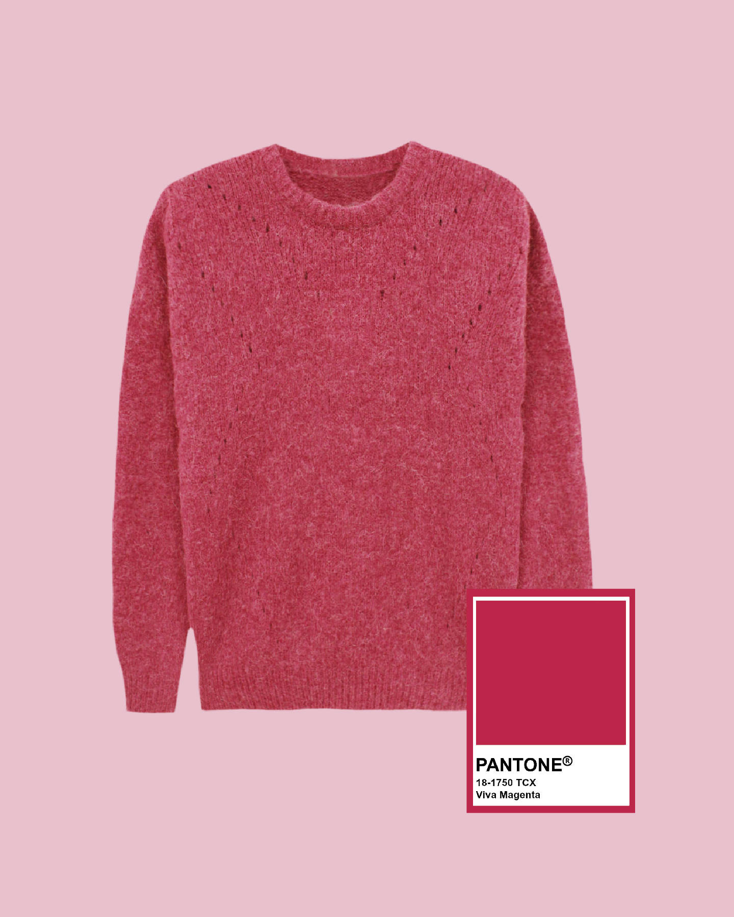 洋紅色針織毛衣搭配 Pantone 色票，置於粉彩粉紅色背景上。