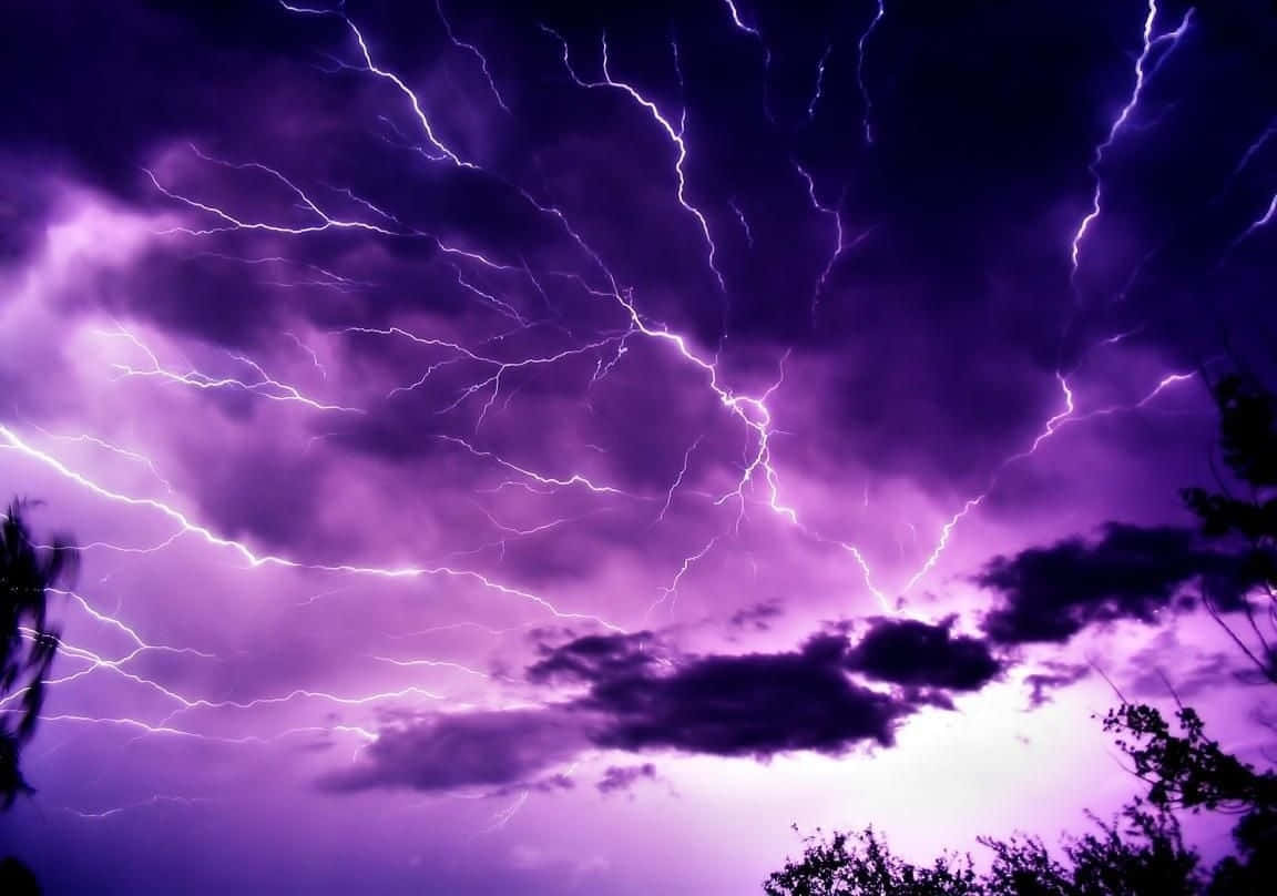 紫色閃電照亮了帶有烏雲和樹木剪影的風暴天空。