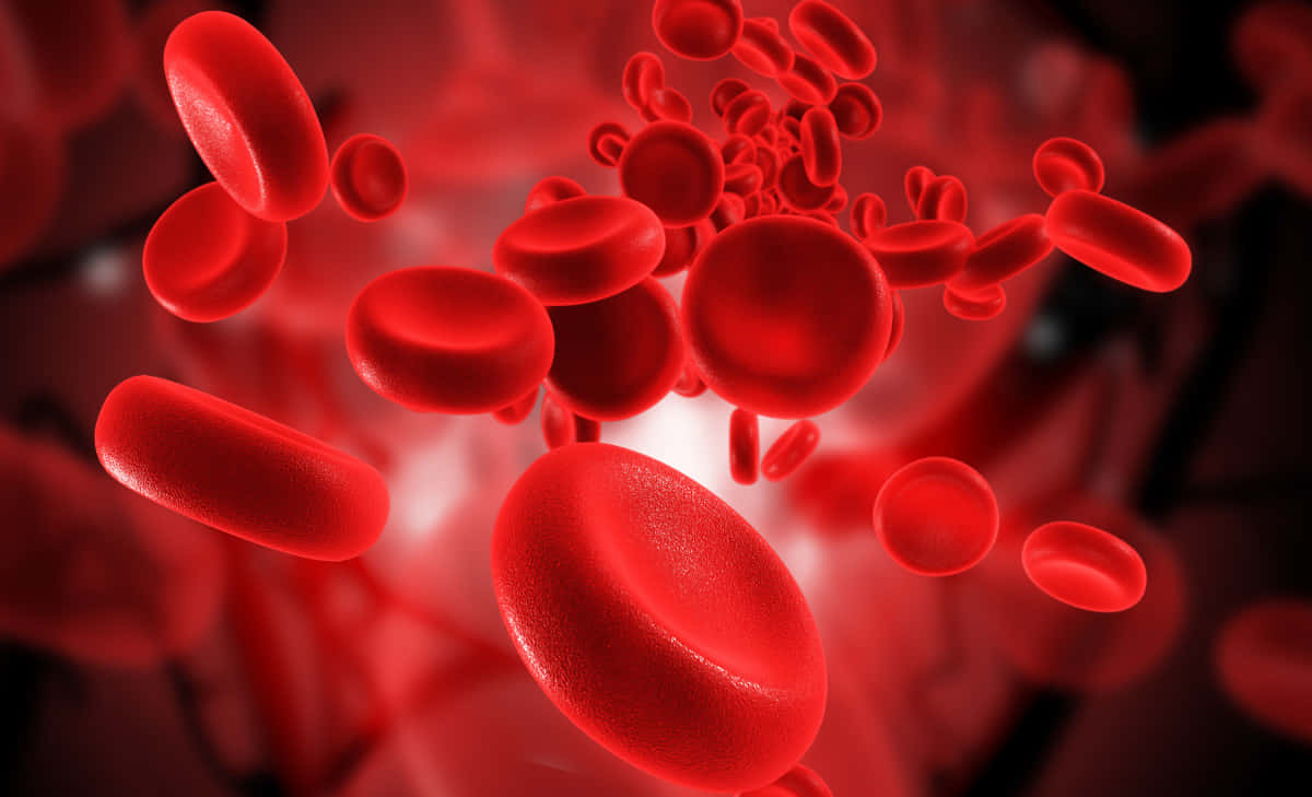 Red Blood Cells 桌布 壁紙 — 鮮豔的紅血球在高解像度3D渲染醫學可視化中動態流過發光的血管隧道。