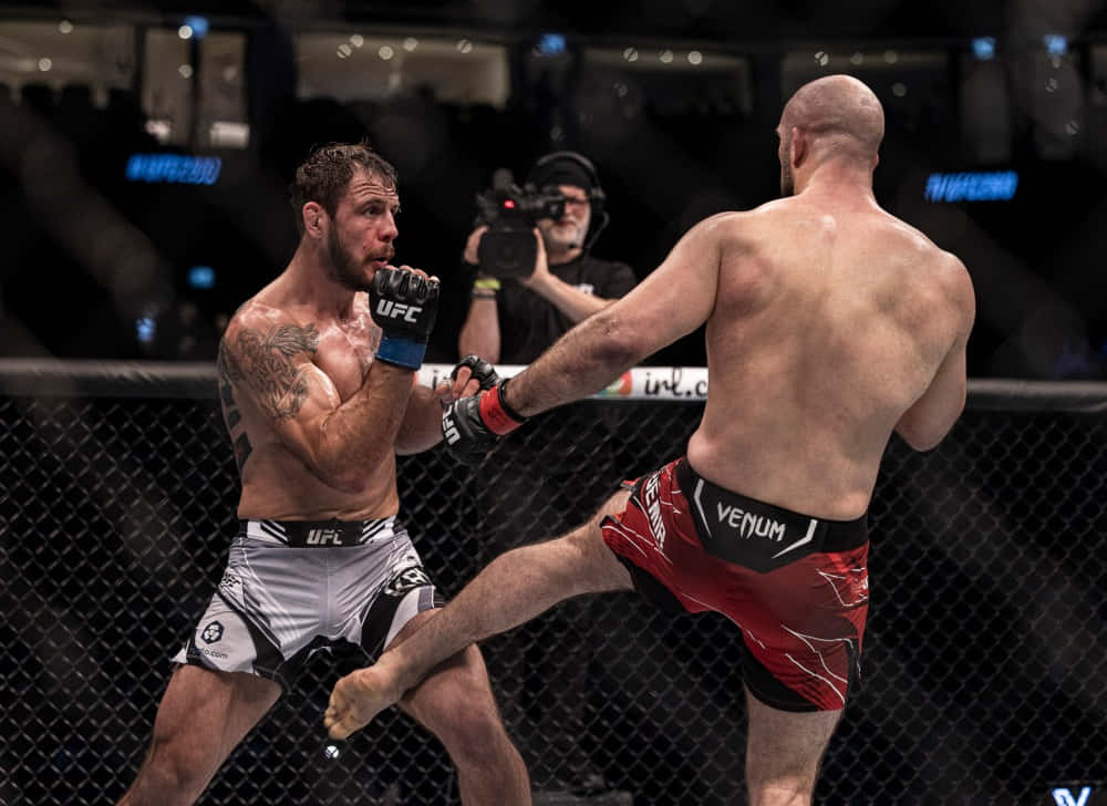 兩名身穿MMA裝備的男性拳手在八角籠內交換高踢和阻擋。