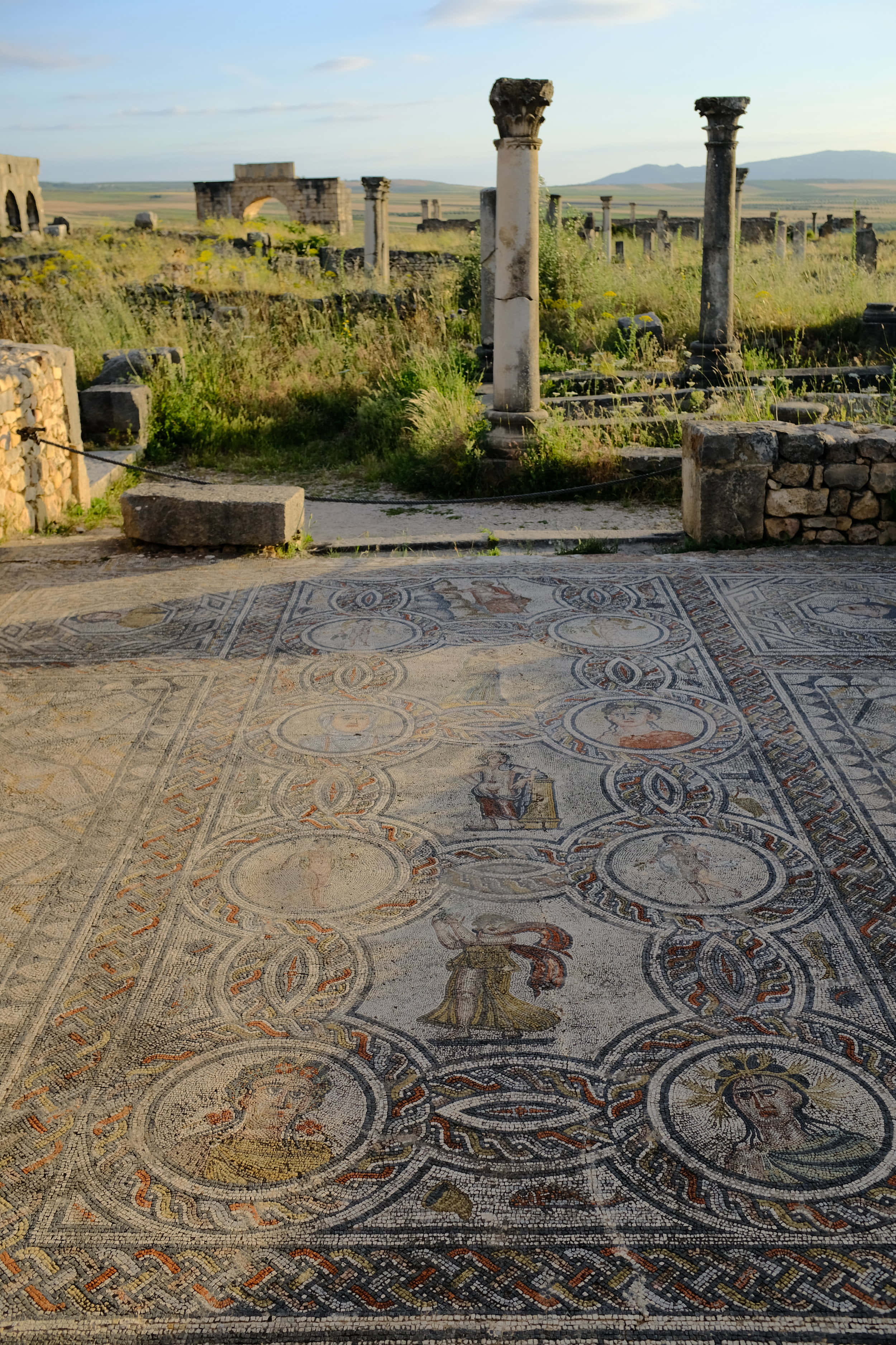 Volubilis 的石板地面與柱子 壁紙 — 古羅馬馬賽克地板，描繪神話人物，位於雜草叢生的廢墟中，天空晴朗。