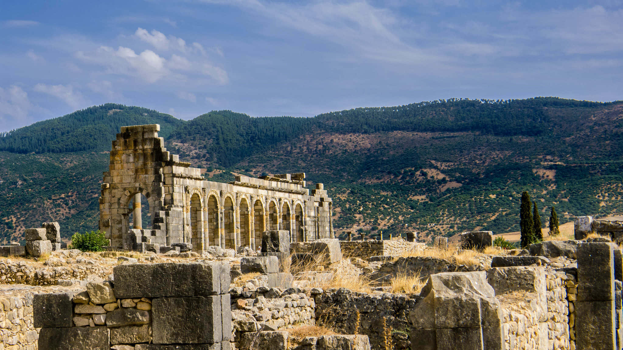 Volubilis 美麗的建築群 壁紙 — 古老的石砌遺跡帶有拱形柱廊，在明亮的藍天下以森林覆蓋的山脈為背景矗立。
