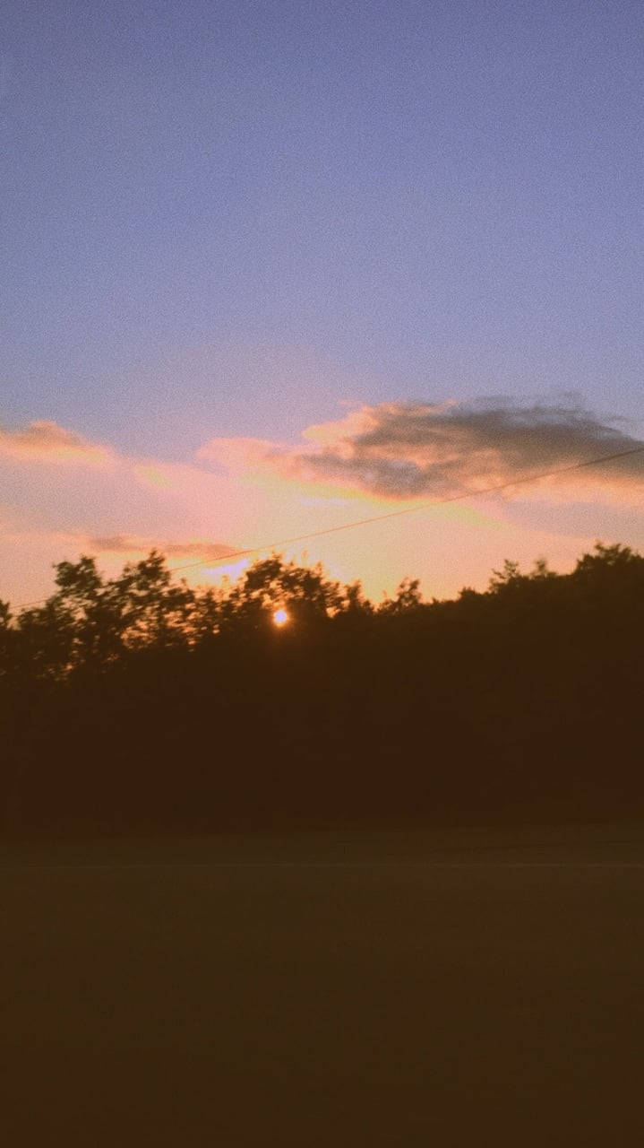 VSCO 樹叢間的夕陽 壁紙 — 夕陽以柔和的橙色和紫色調繪製天空，在黑暗的樹線上方有一條微弱的電線橫穿而過。