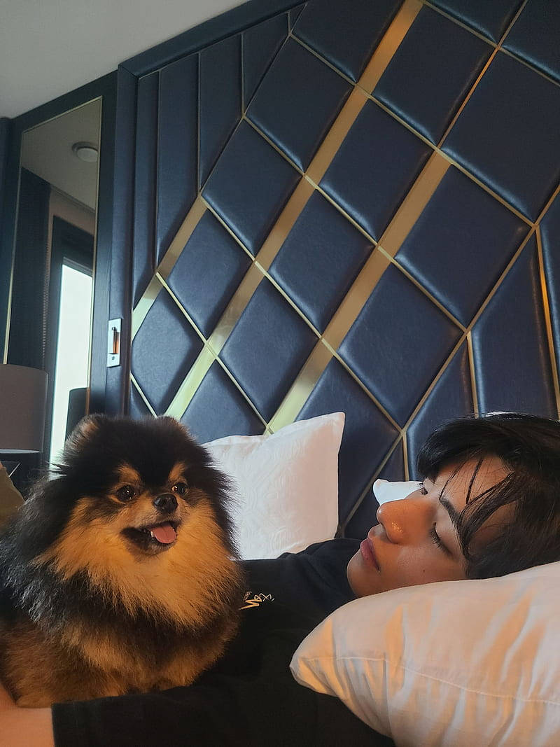 V金泰亨與愛犬Yeontan 壁紙 — 一個人喺深藍色幾何圖案床頭板配金色裝飾嘅床上，喺一隻毛茸茸嘅博美犬旁邊平靜咁休息。