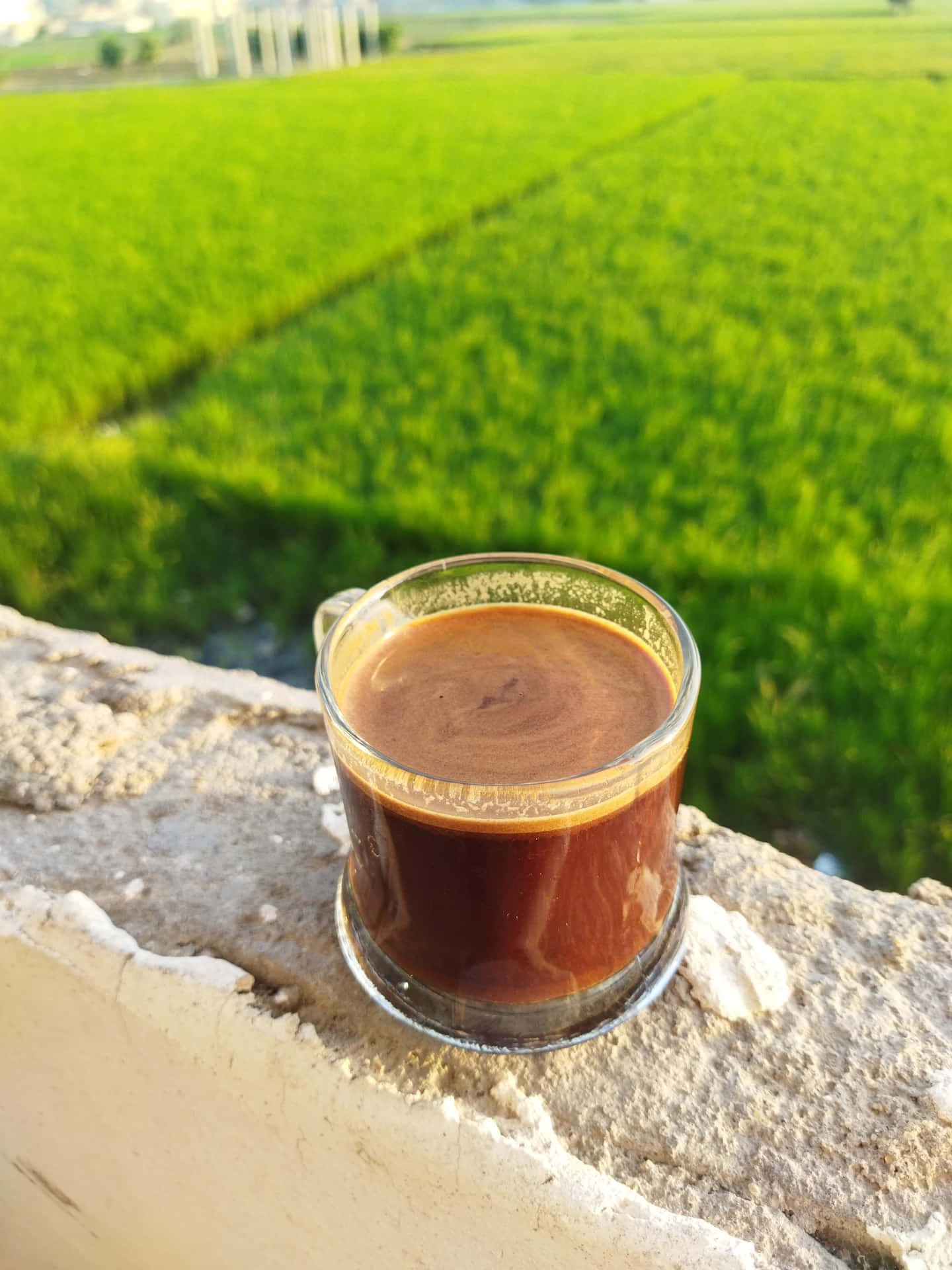 石牆上的一杯咖啡，背景是綠色稻田。
