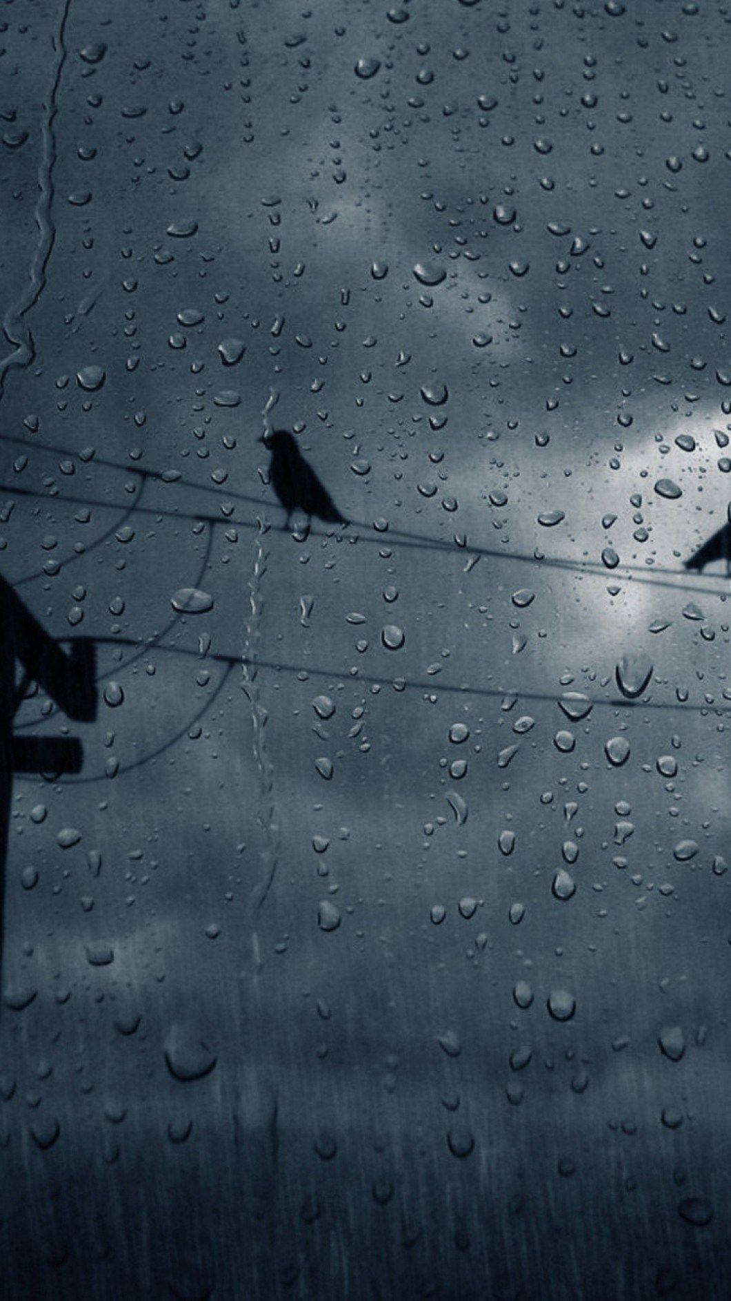 暴風雨中，透過雨痕斑斑的窗戶看到電線上的鳥。
