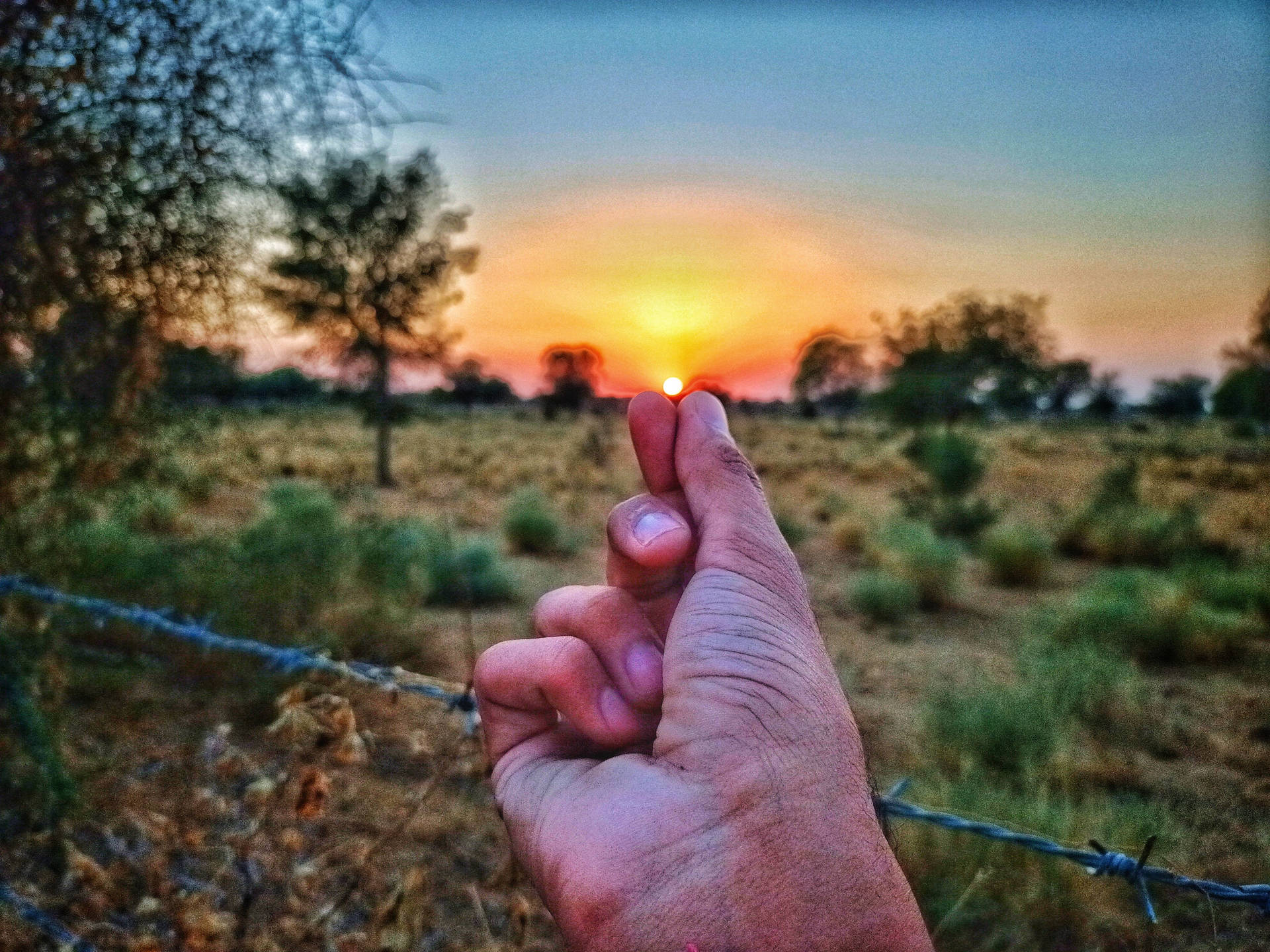 手在日落時分於乾燥草原上握住太陽，帶有鐵絲網