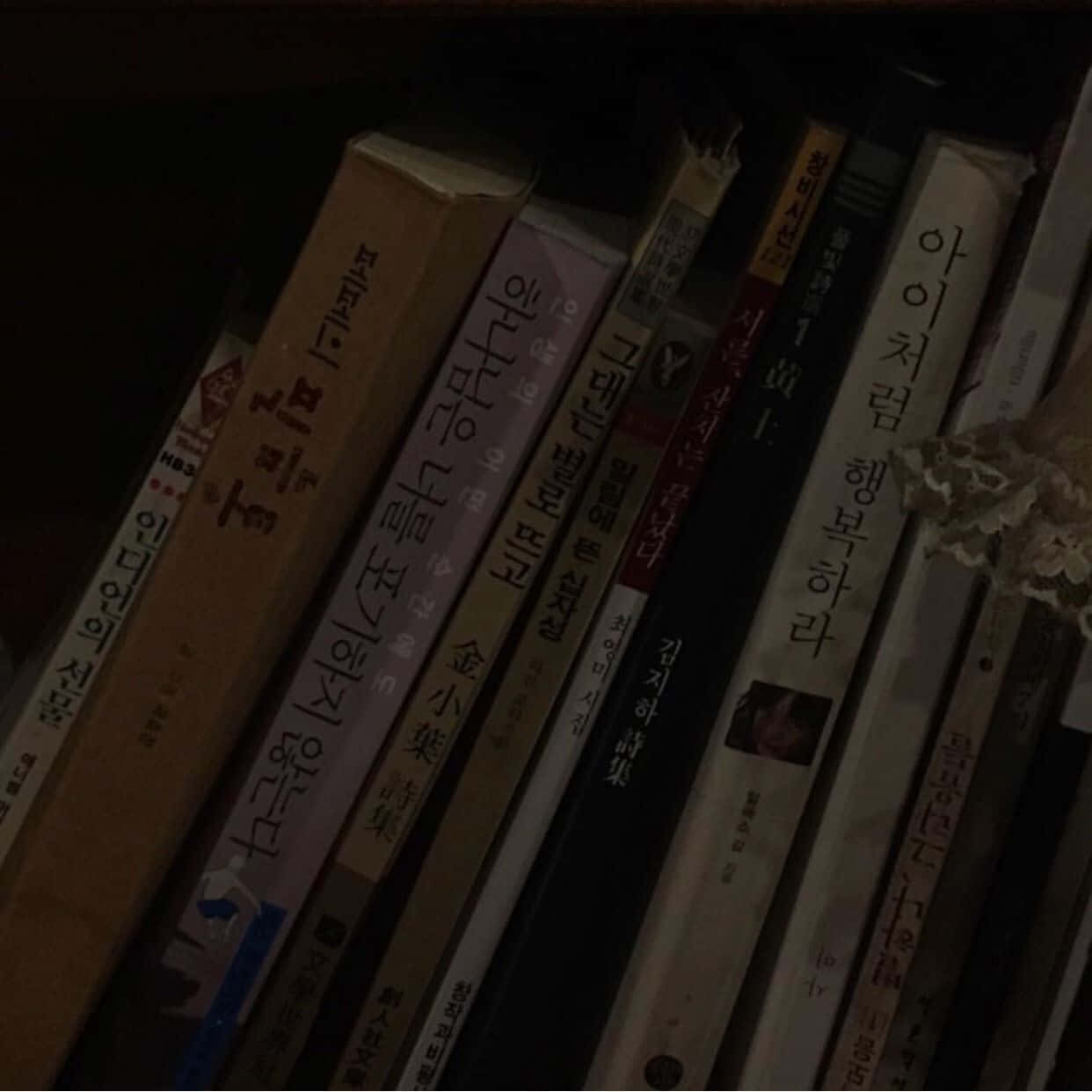 Dark Book Aesthetic 桌布 壁紙 — 昏暗燈光下的書架，韓文和中文書籍直立排列在陰影行中。
