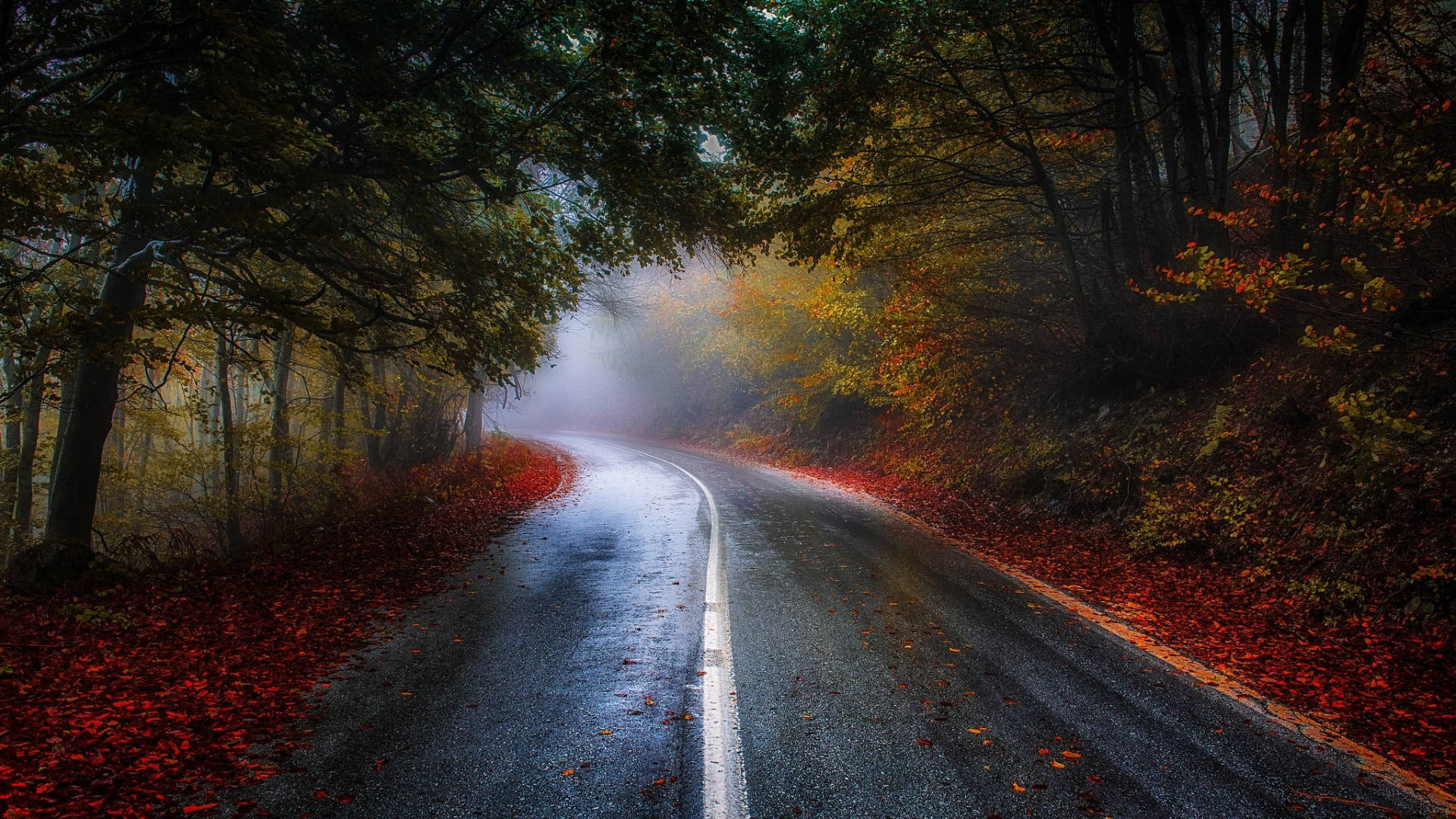 蜿蜒道路穿過迷霧秋林，地上有紅葉 — 秋日 壁紙