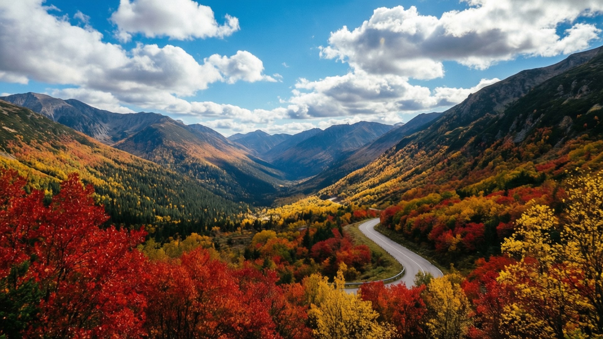 蜿蜒的道路穿過藍天下山谷中色彩繽紛的秋日森林。