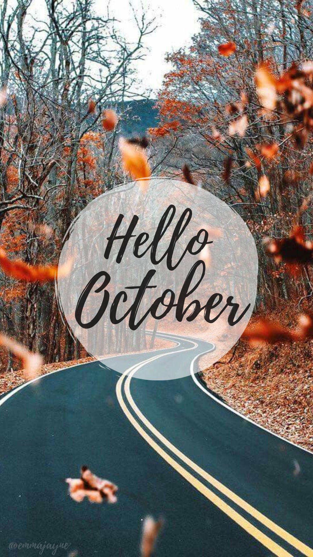 蜿蜒的道路穿過秋日樹林，飄落的樹葉和Hello October文字。