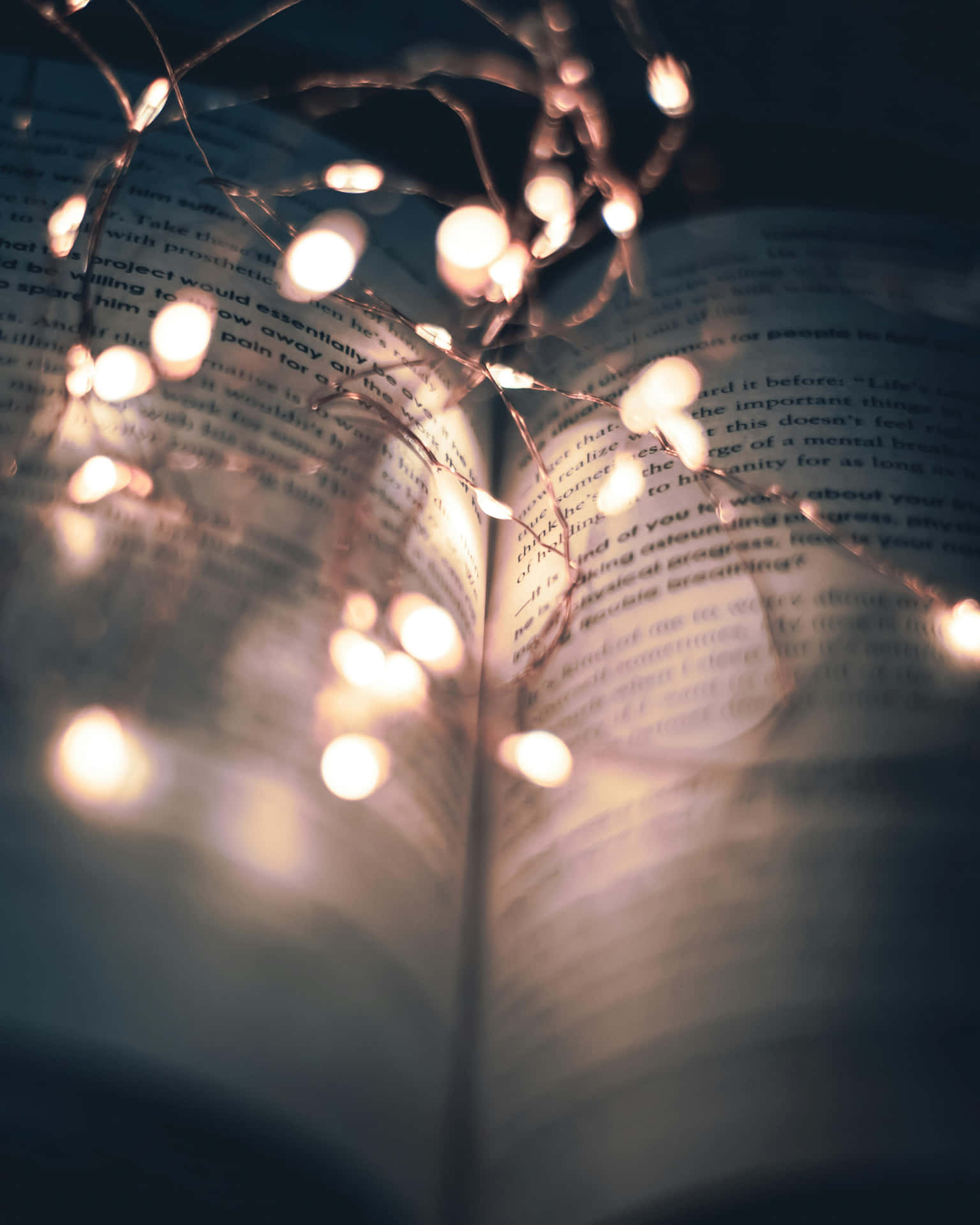  壁紙 — 溫暖的仙女燈在舒適的夜晚環境中，在打開的書頁上輕輕閃爍。