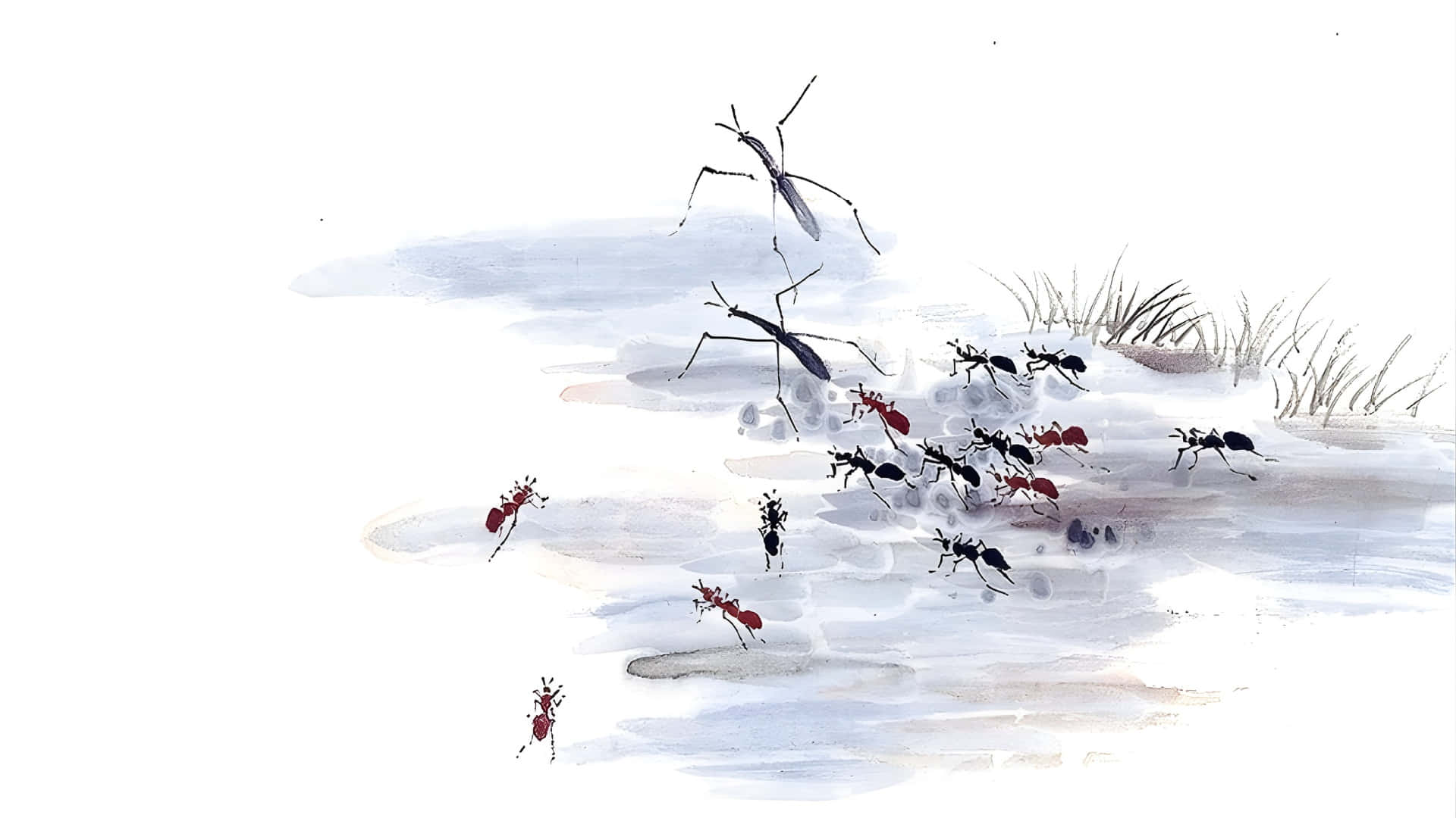  壁紙 — 水彩插圖，描繪螞蟻和水黽在淺水面上，稀疏的蘆葦。