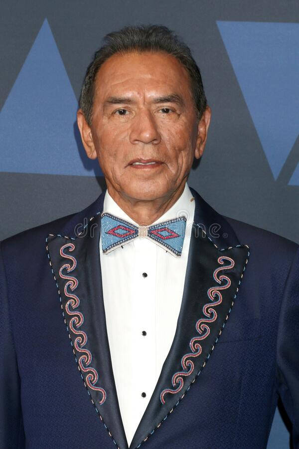 Wes Studi 名人快照 壁紙 — 一位身穿海軍藍西裝、飾有精緻紅白刺繡和圖案領結的尊貴男士，在幾何藍色背景前擺姿勢。