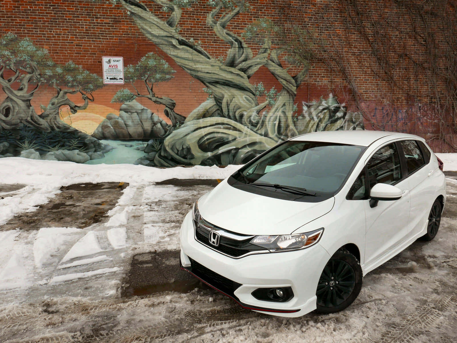 Honda Fit 桌布 壁紙 — 一輛白色本田Fit停泊在雪地上，前面是一幅磚牆壁畫，畫中有盤根錯節的樹木和寧靜的風景。