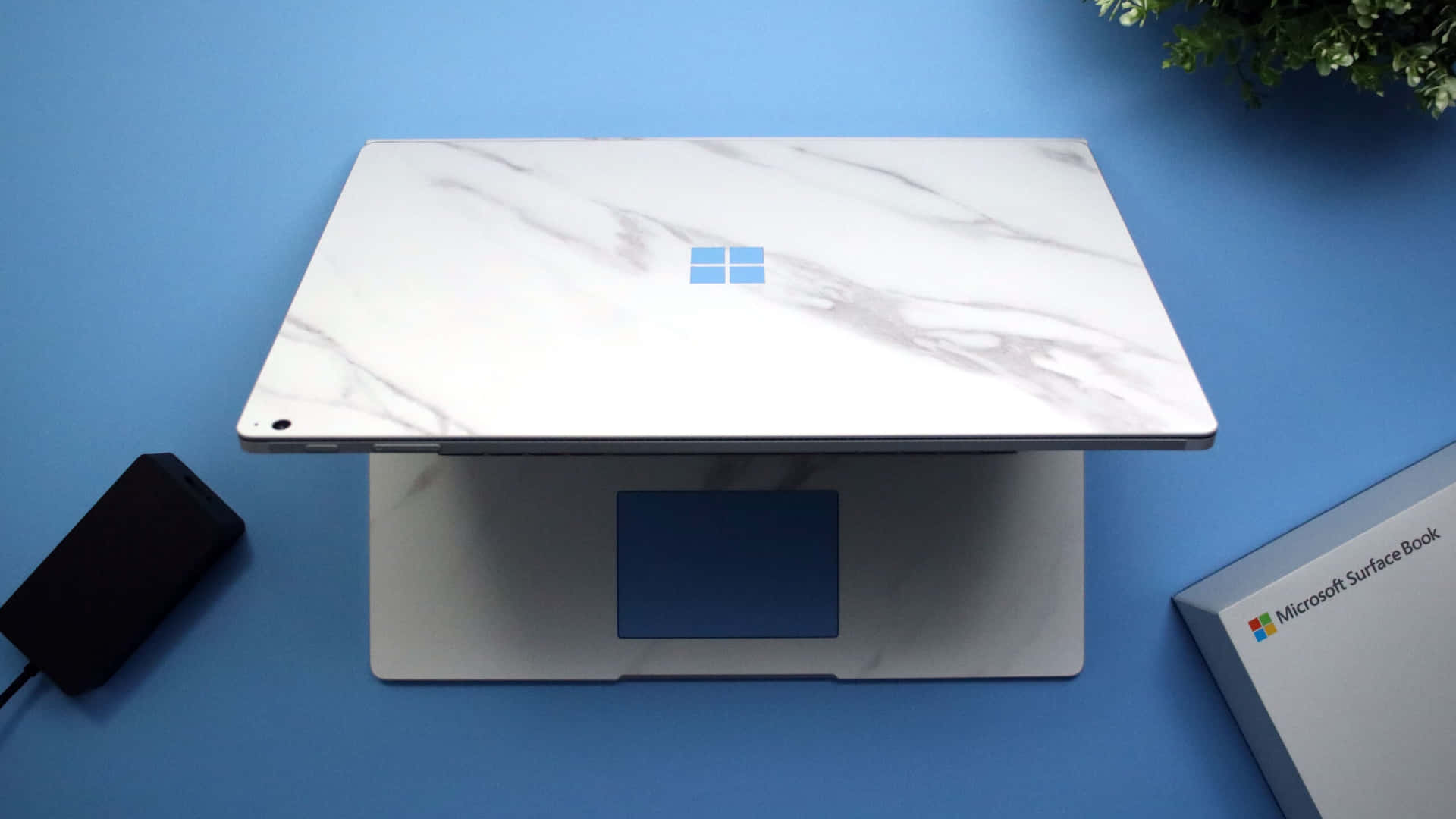  壁紙 — 一部白色大理石花紋的 Microsoft Surface Book 手提電腦放在支架上，背景為純藍色，附近有一棵綠色植物及其盒子。