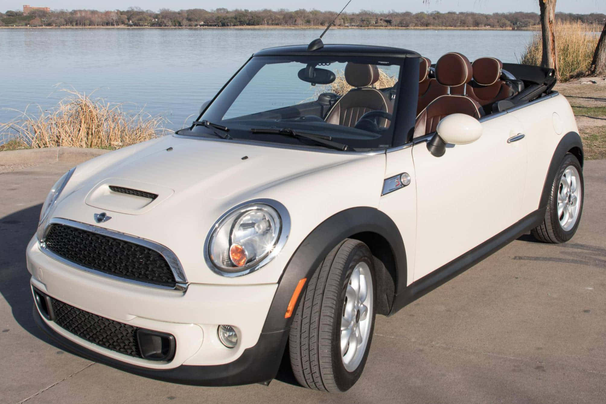Mini Cooper Convertible 桌布 壁紙 — 一輛白色MINI Cooper開篷車停泊在平靜的湖邊，湖邊有棕色蘆葦和遠處的樹木，在明亮的日光下。