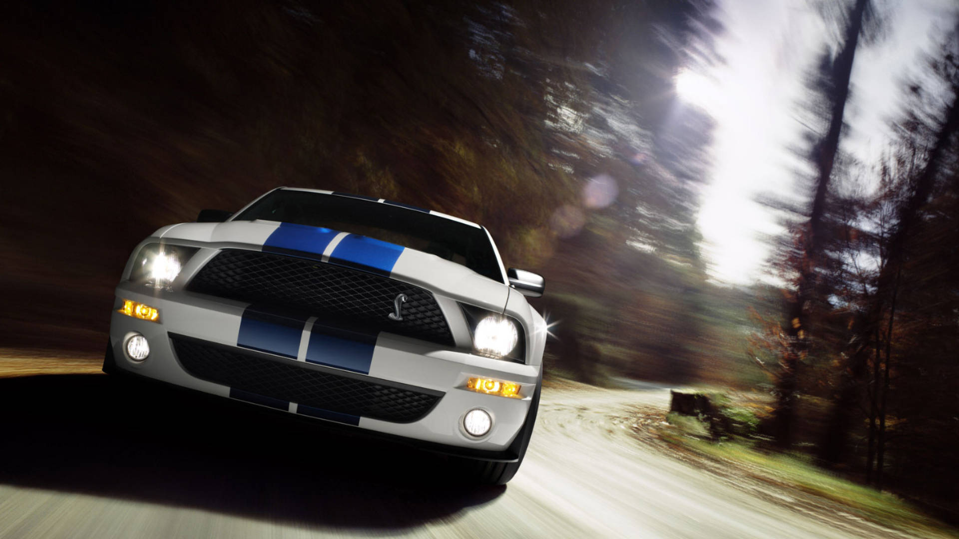 白色Shelby Mustang帶藍色條紋在黃昏時分穿過森林。