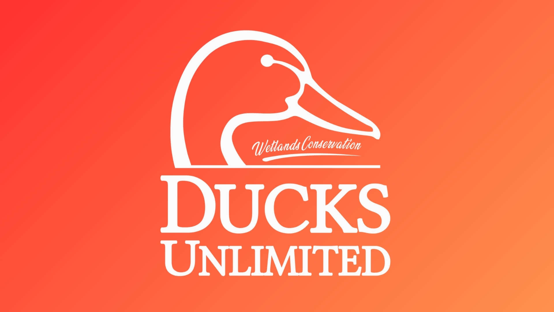  壁紙 — 白色風格化鴨頭標誌，帶有 'Ducks Unlimited' 文字，背景為鮮豔的橙色漸變。