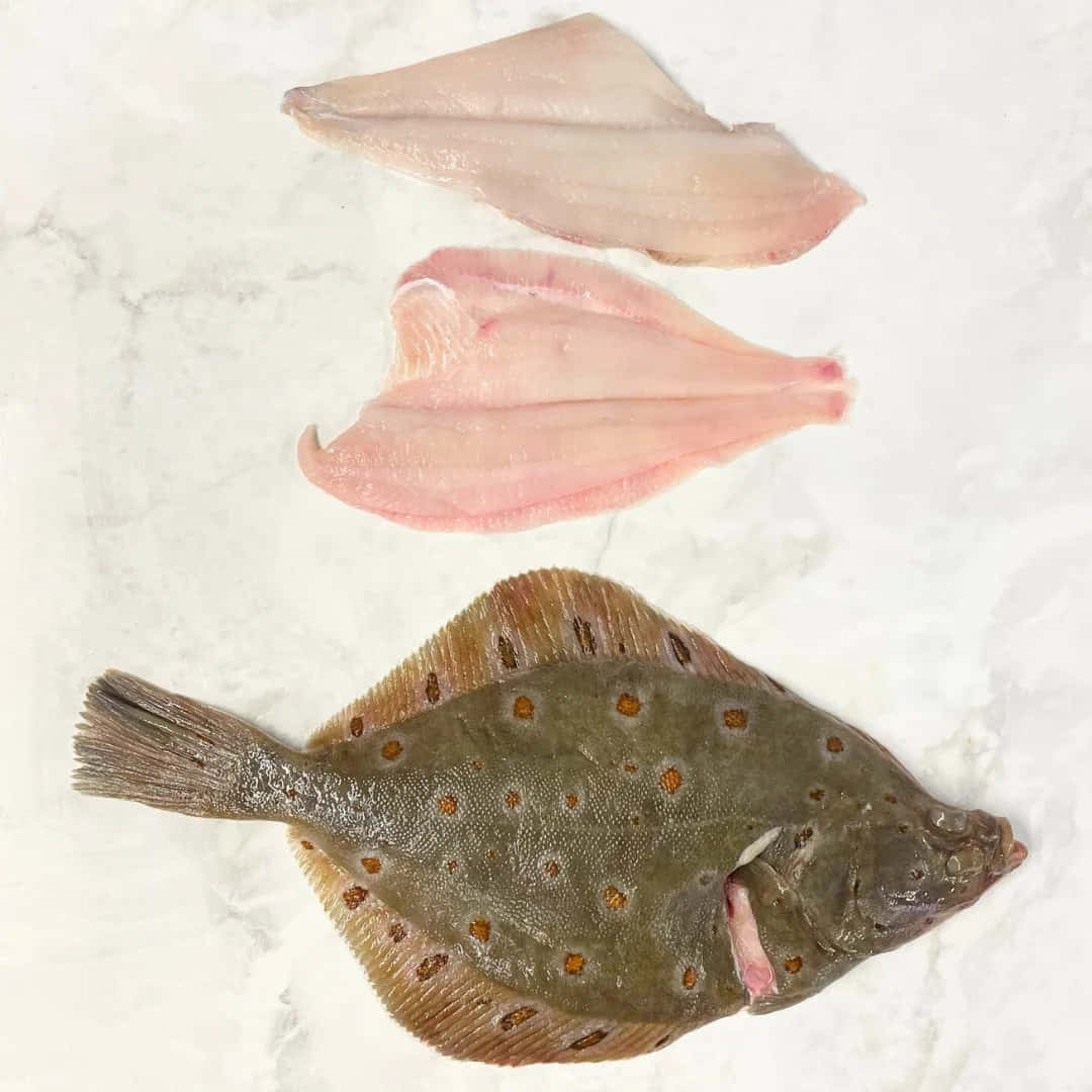  壁紙 — 原條比目魚，帶有斑點棕色魚皮，兩塊淡粉紅色魚柳排列在白色大理石表面上。