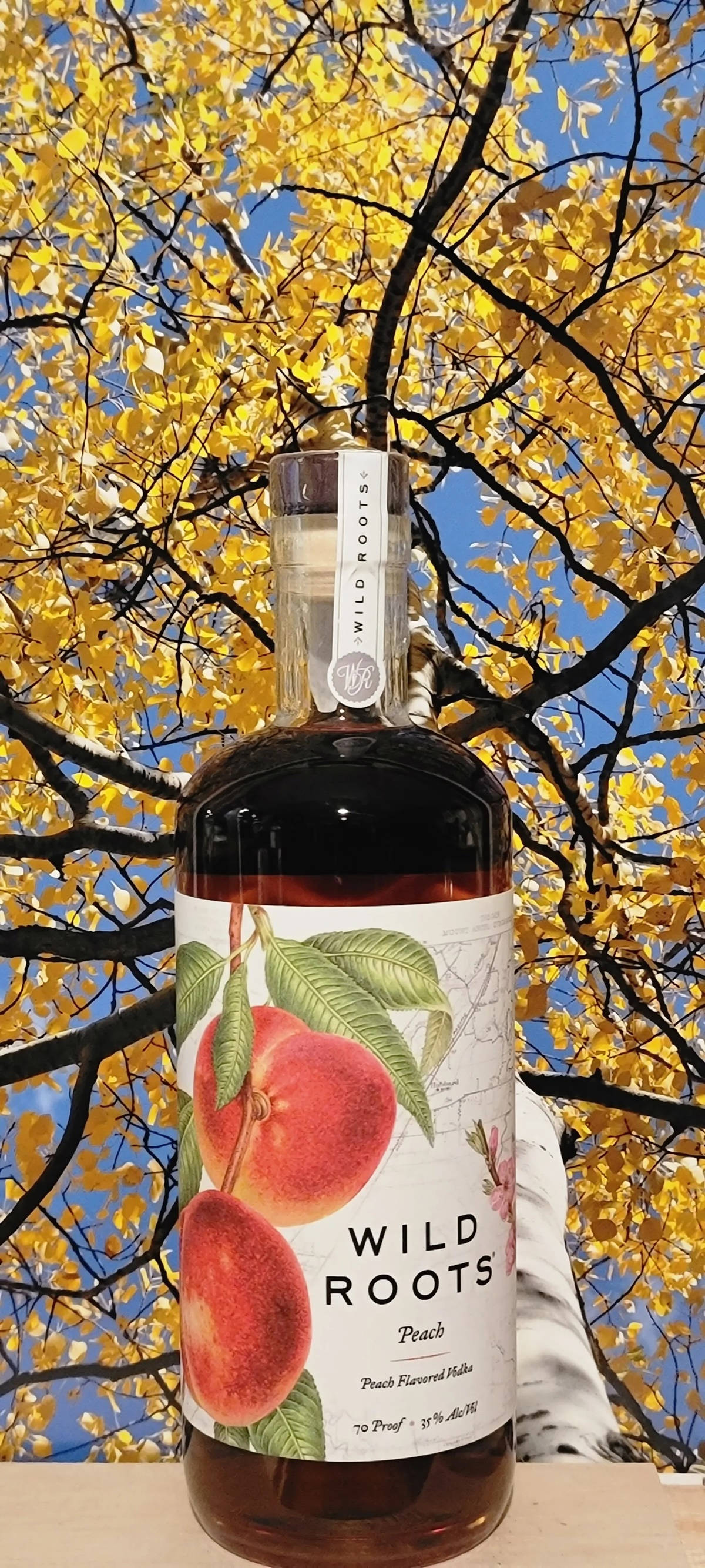Wild Roots 水蜜桃伏特加 壁紙 — 一瓶 Wild Roots 蜜桃味伏特加，以金黃秋葉和藍天為背景。