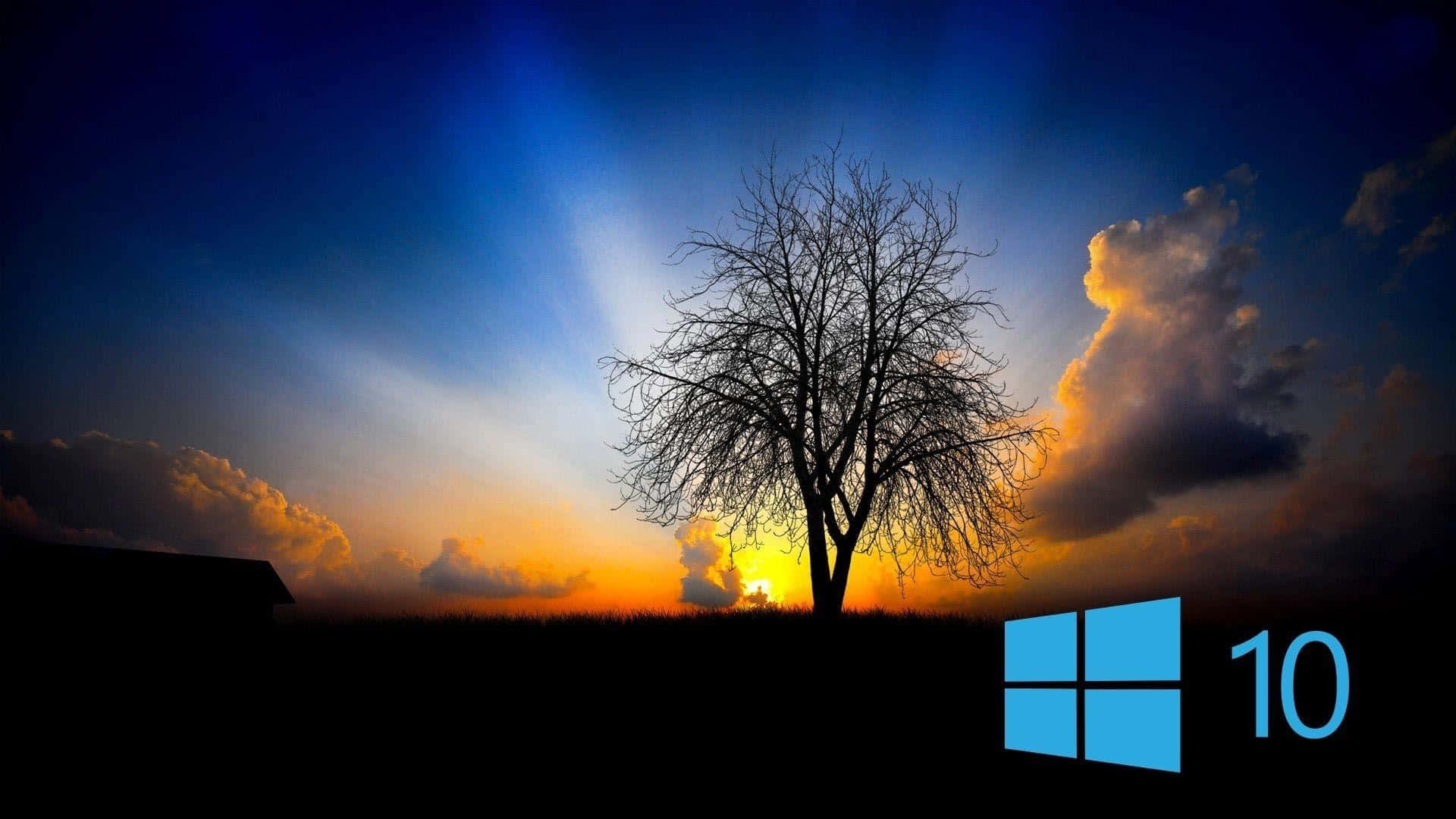 Windows 10 桌面 壁紙 — 一棵孤獨的禿樹在充滿活力的日落天空背景下形成剪影，天空中有戲劇性的雲彩和發光的太陽。