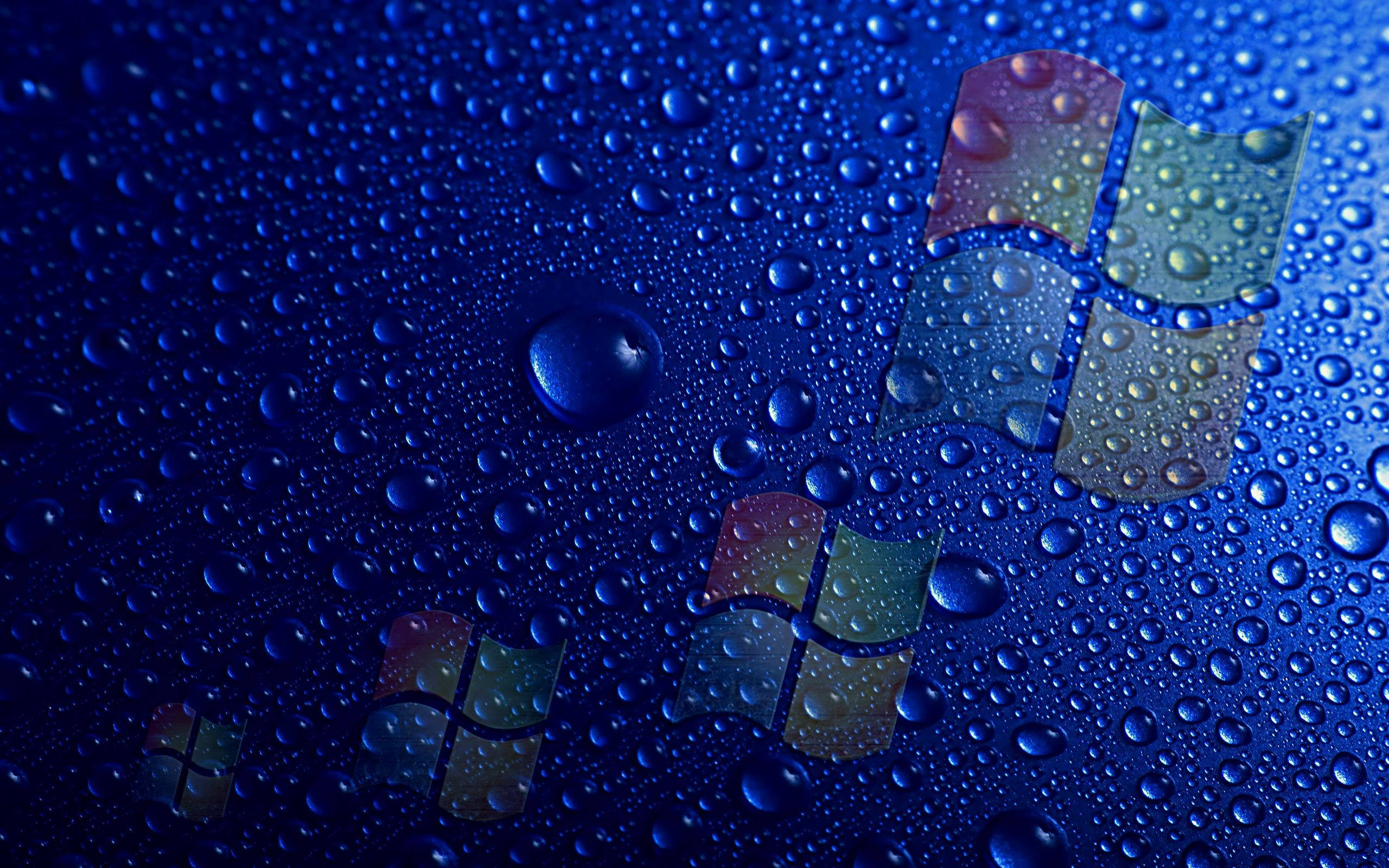 Windows 10 高畫質水珠 壁紙 — Windows 標誌反射在光滑藍色表面上的雨滴中，帶有閃爍的光折射。