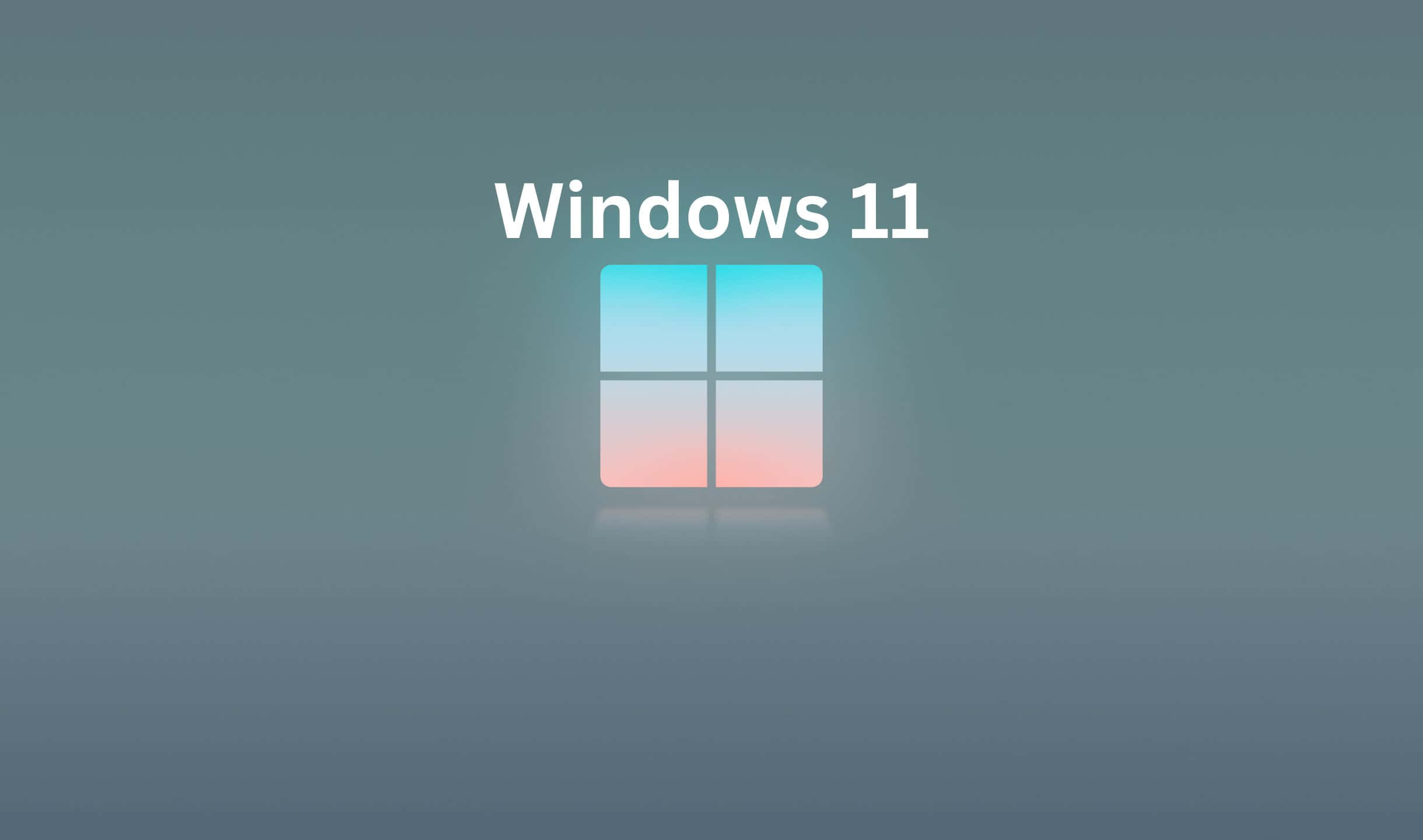 Windows 11 背景