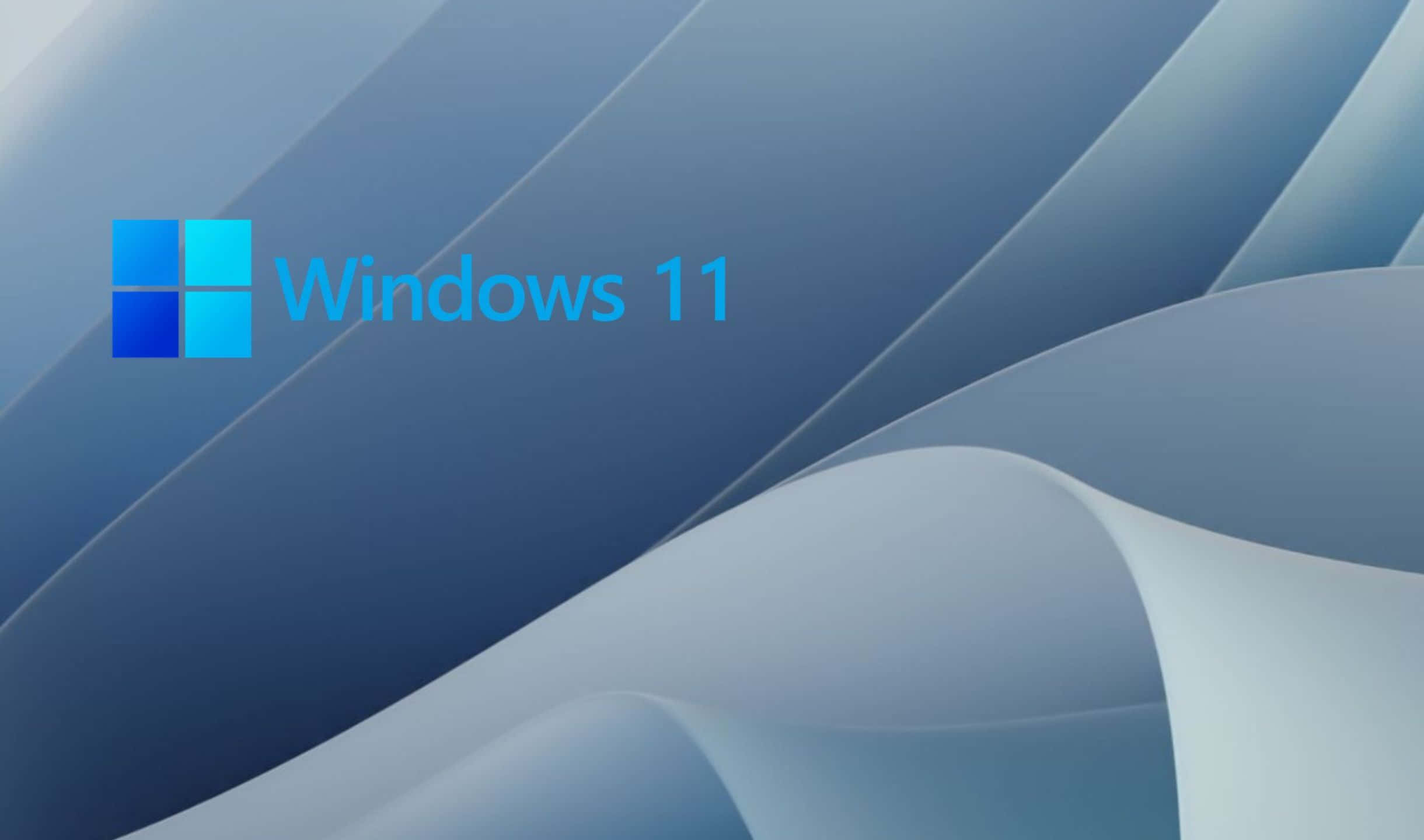 Windows 11 標誌在流暢的藍白抽象背景上。