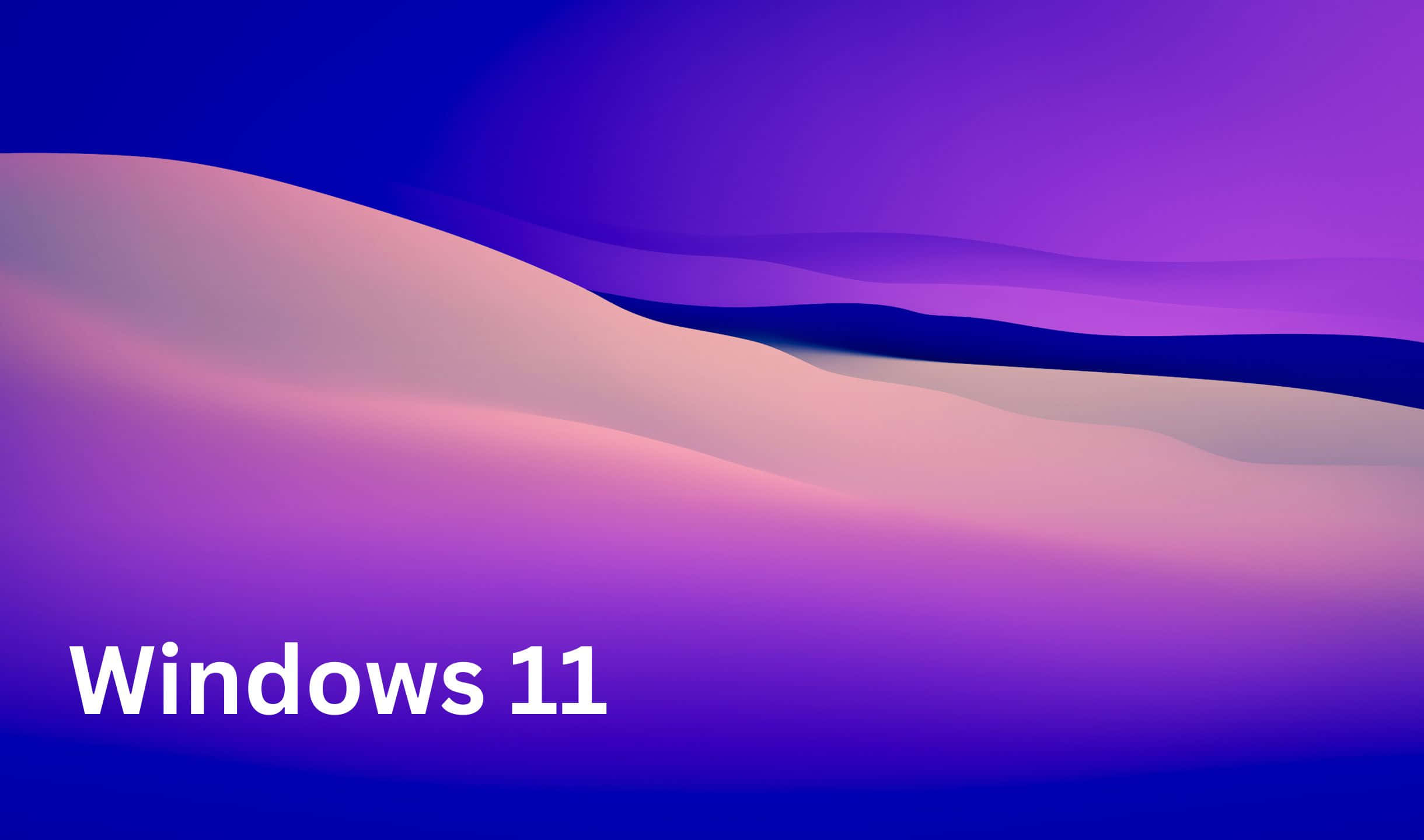 Windows 11 背景