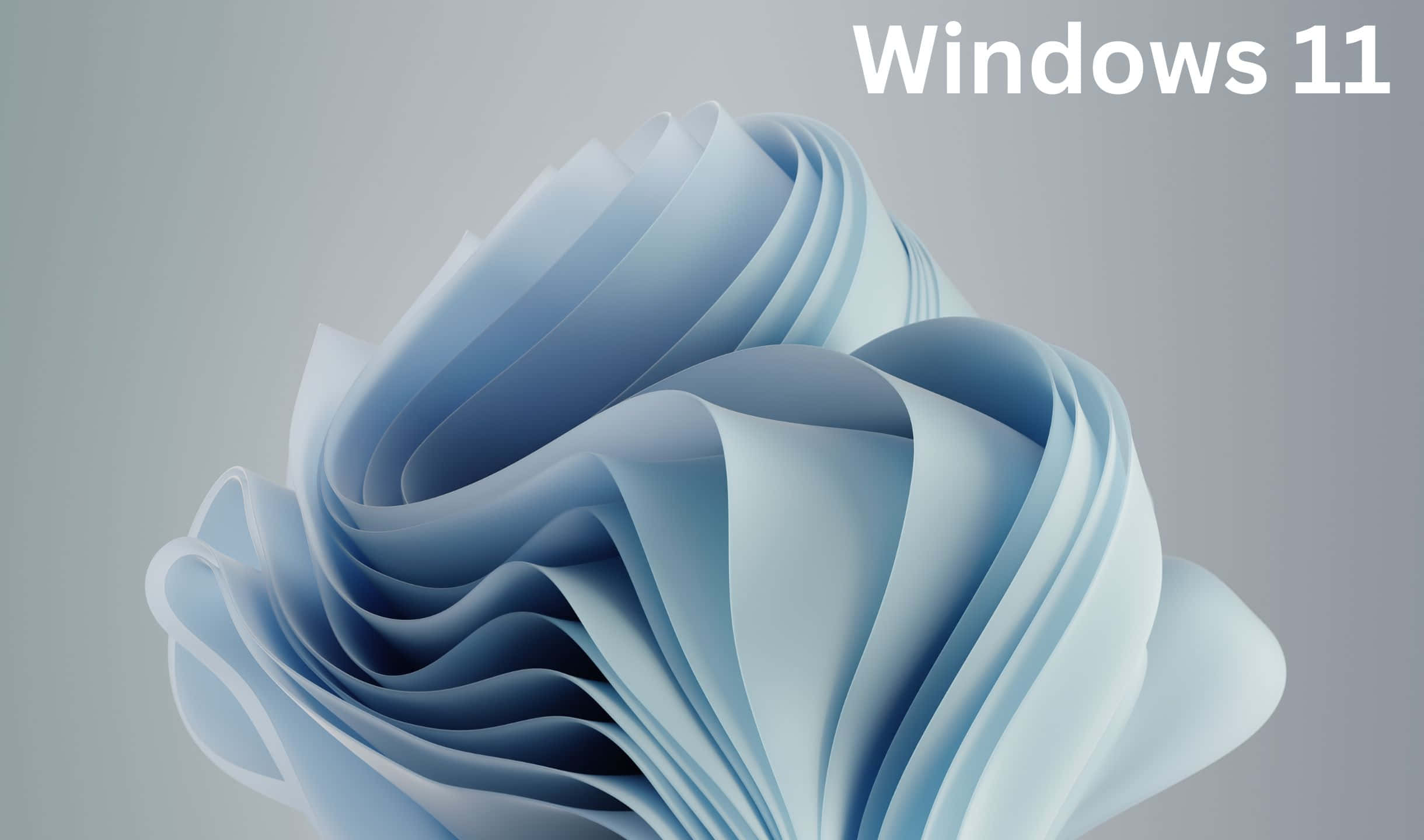 Windows 11 背景