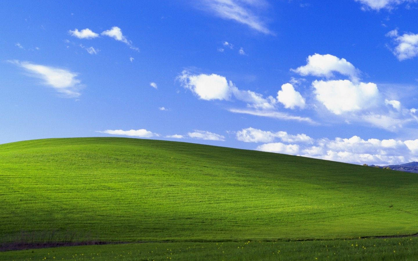 Windows 8 藝術 壁紙 — 廣闊的綠色起伏山丘，在明亮的藍天下有蓬鬆的白雲。