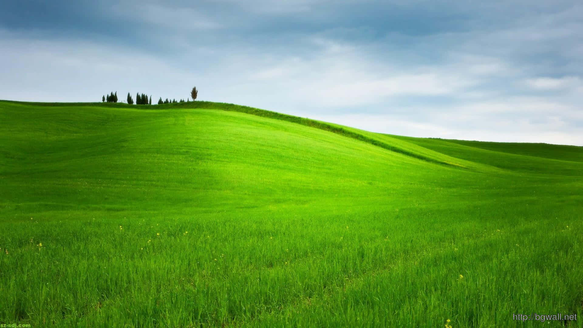 Windows Hill — 滾動丘陵與窗景的壯麗風光 壁紙 — 廣闊的翠綠色起伏山丘，在柔和藍天下散佈著雲朵，山脊頂端有一簇孤獨的樹木。