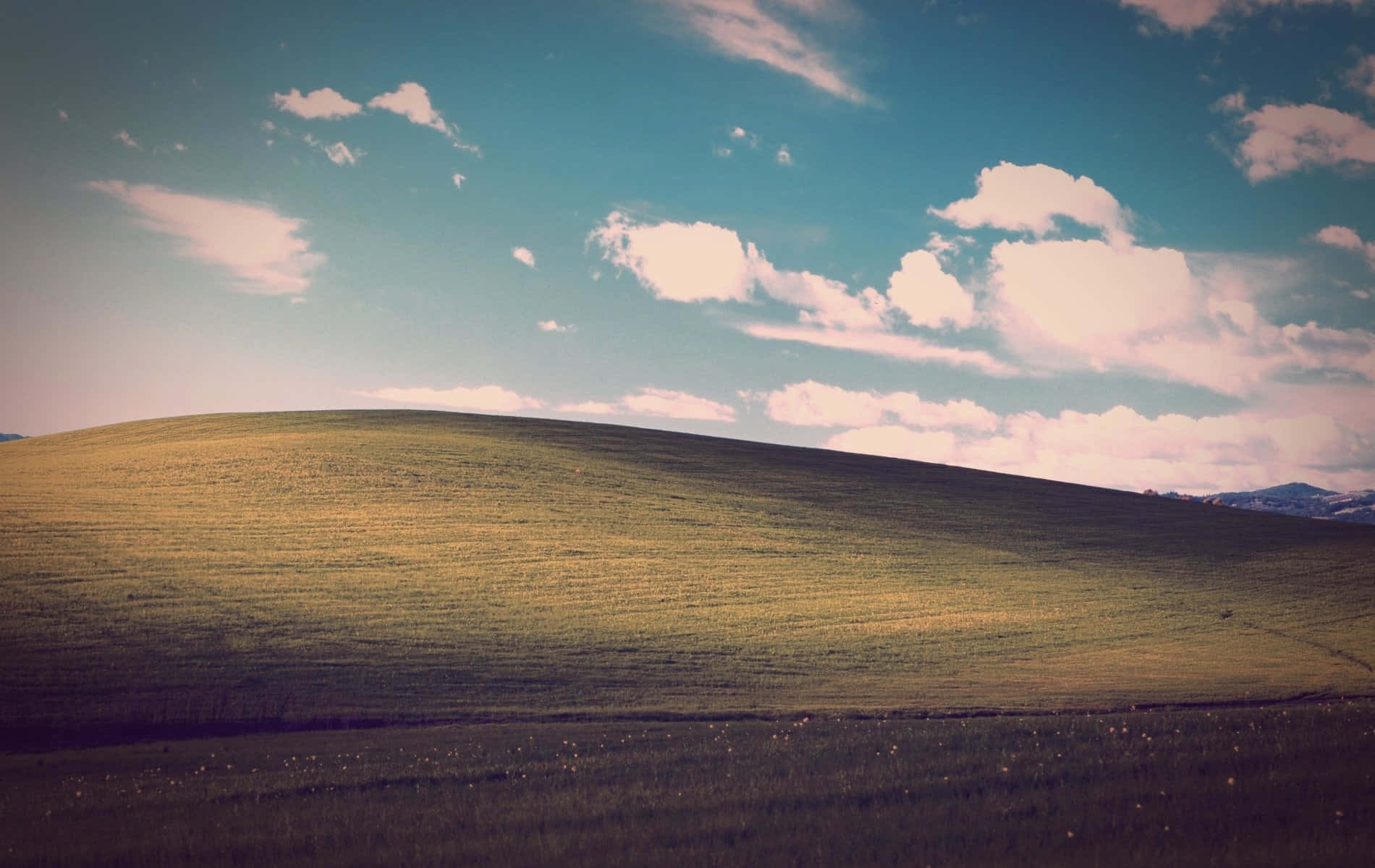 Windows Hill 的絕美風景 壁紙 — 廣闊起伏嘅草地山丘，喺明亮藍天之下，散佈著蓬鬆嘅白雲。