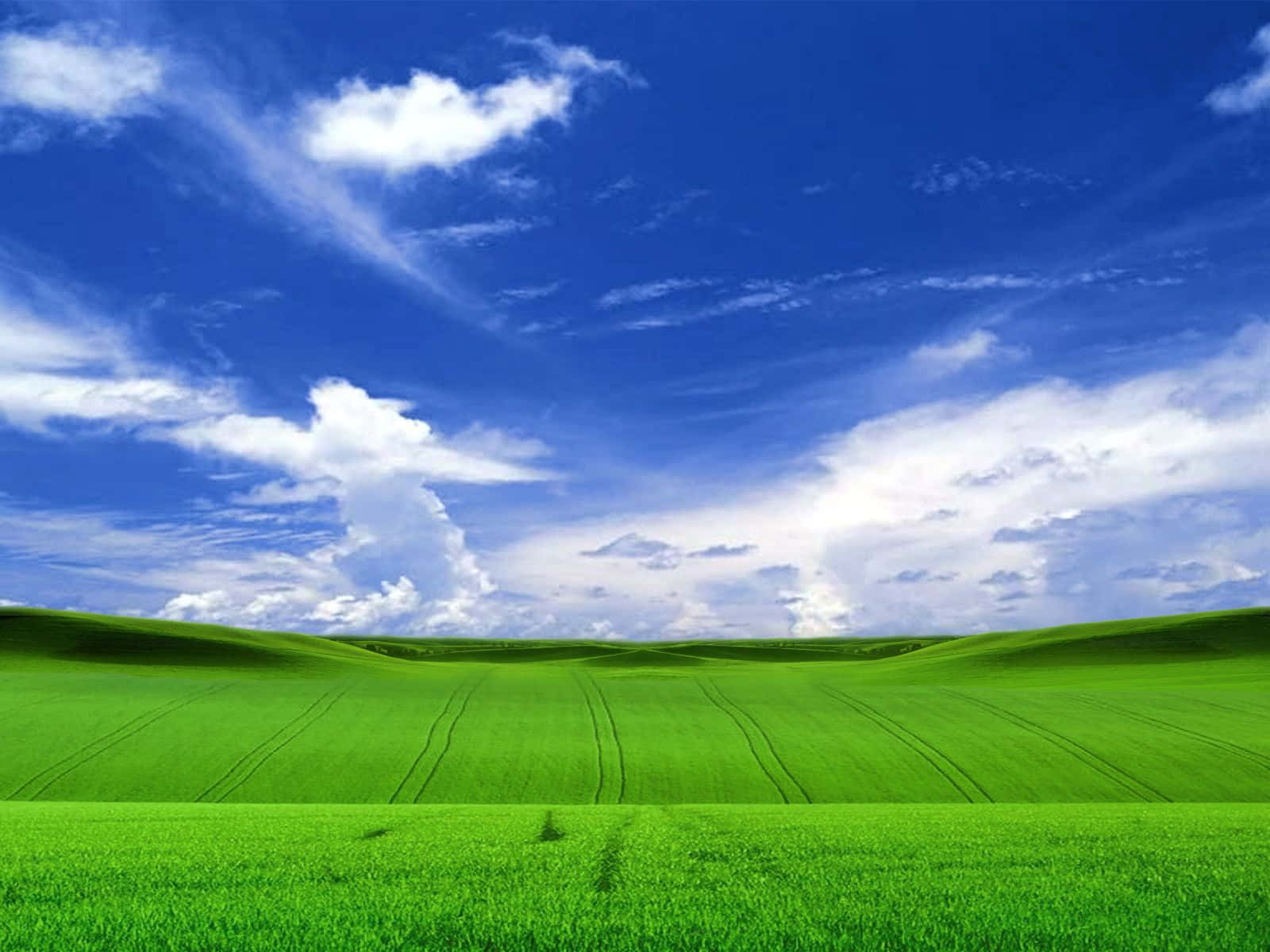 感受 Windows XP 的強大效能 壁紙 — 廣闊起伏的綠色田野在明亮的藍天下延伸，點綴著蓬鬆的白雲。