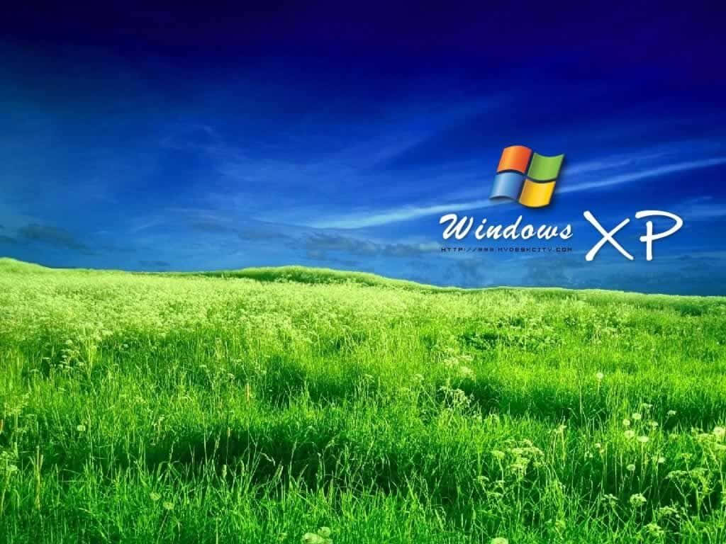 Windows XP 壁紙 — 在深藍色天空下，充滿活力的綠色草地，Windows XP 標誌漂浮在上方。