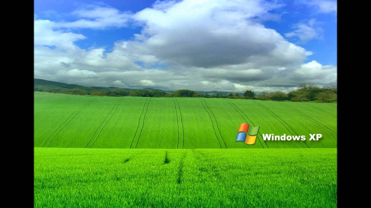 享受Windows XP的頂尖使用者體驗 壁紙 — 廣闊的綠色田野，天空戲劇性多雲，角落有Windows XP標誌。