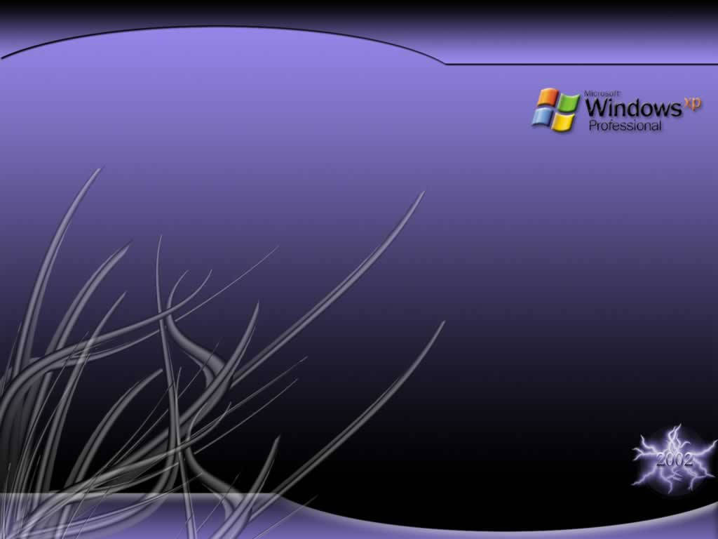 Windows XP Professional標誌在紫色漸變背景上，帶有銀色草設計。