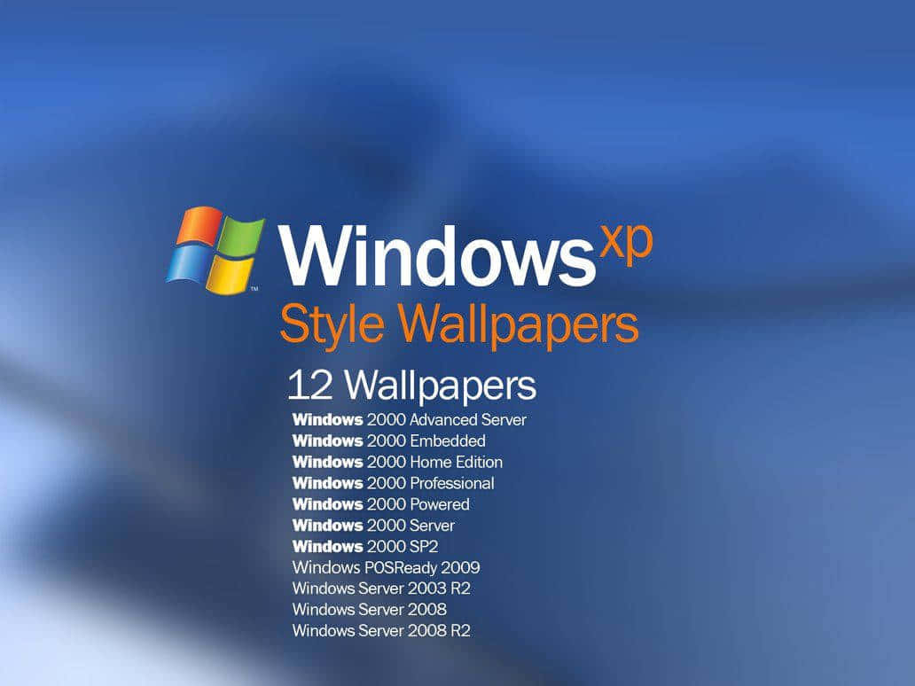 Windows XP 風格壁紙選擇畫面，列出兼容版本。