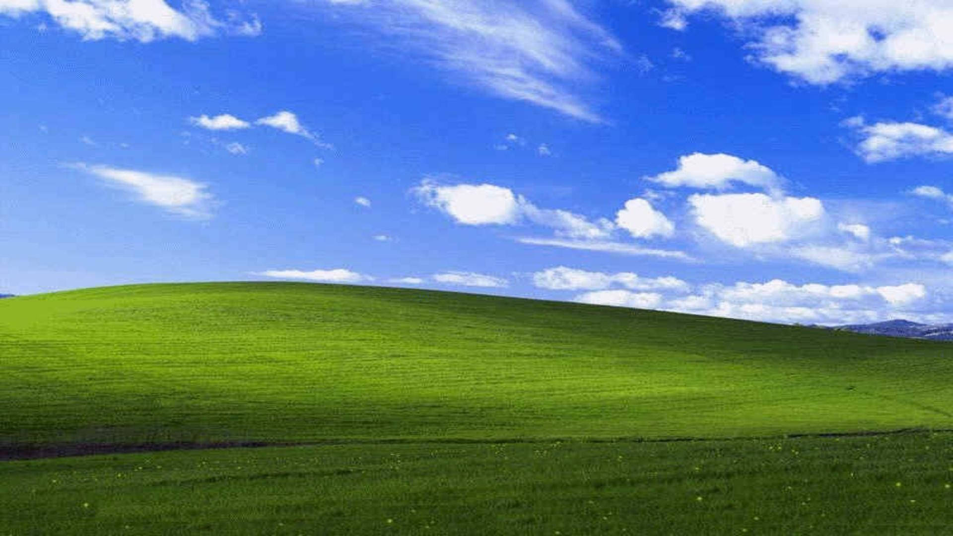 Windows XP 美好桌面壁紙 壁紙 — 廣闊起伏的綠色山丘，在明亮的藍天下有蓬鬆的白雲。